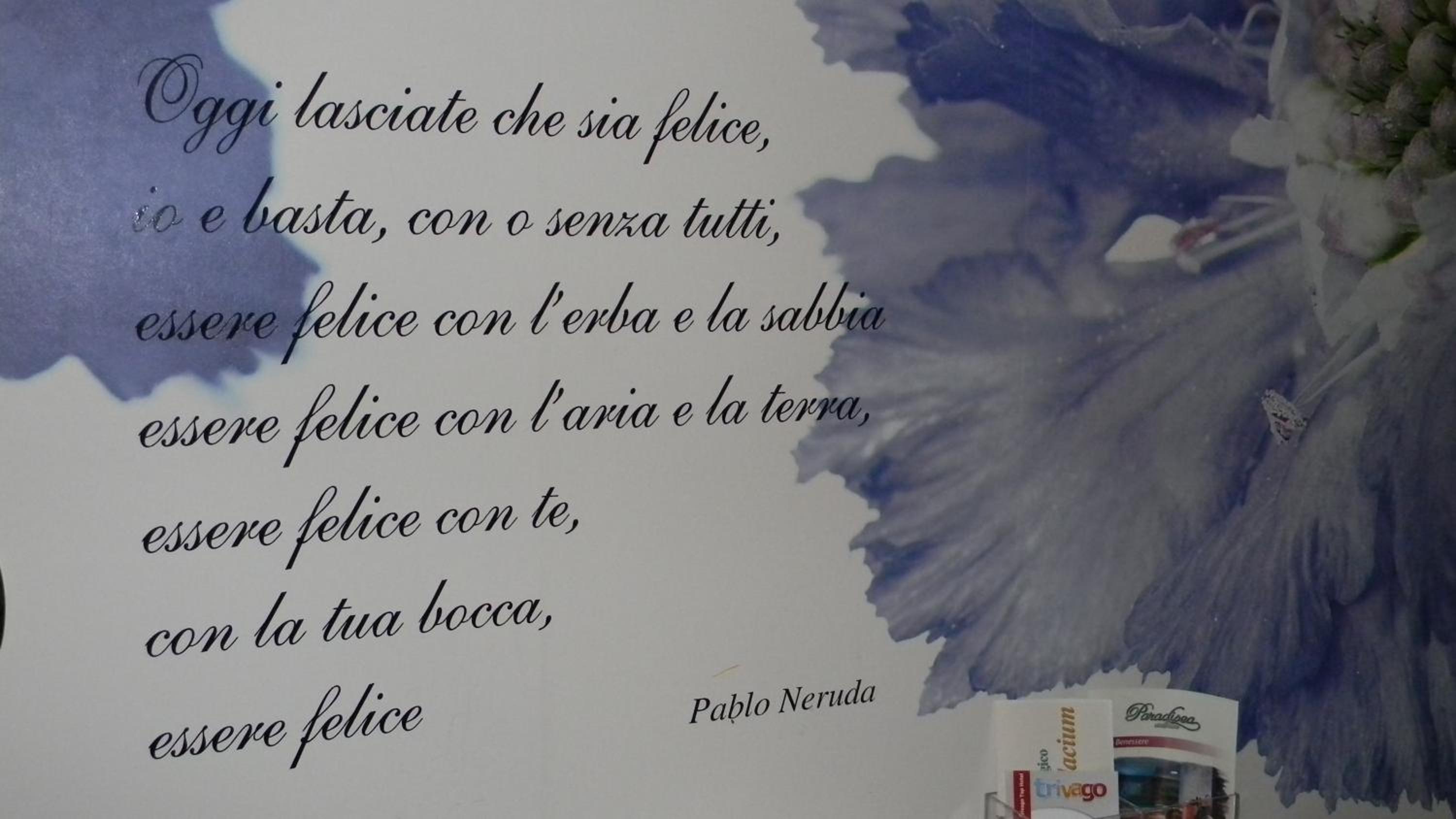 Suite - Photo 4