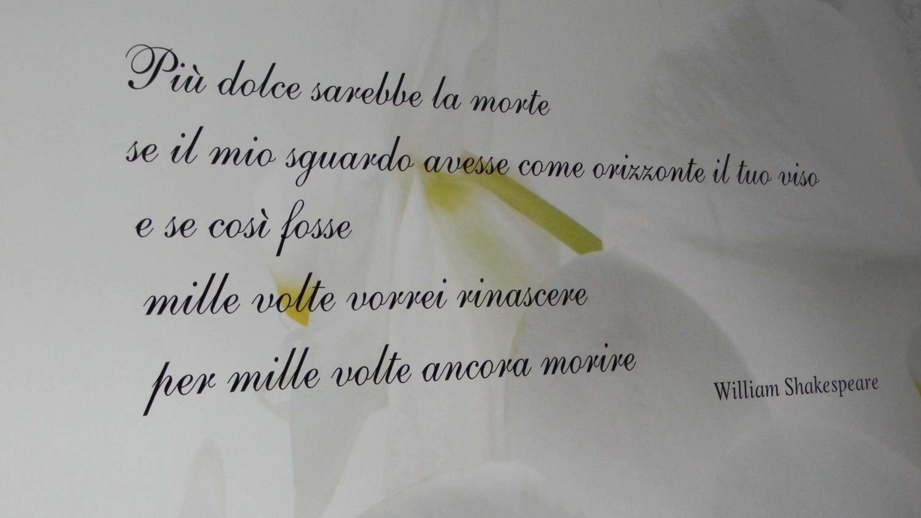 Suite - Photo 5
