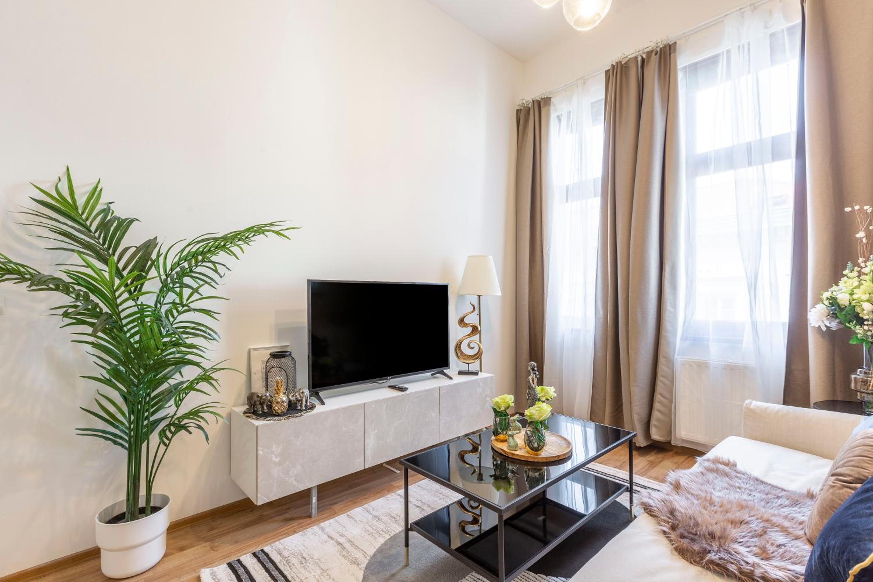 Deluxe Apartment