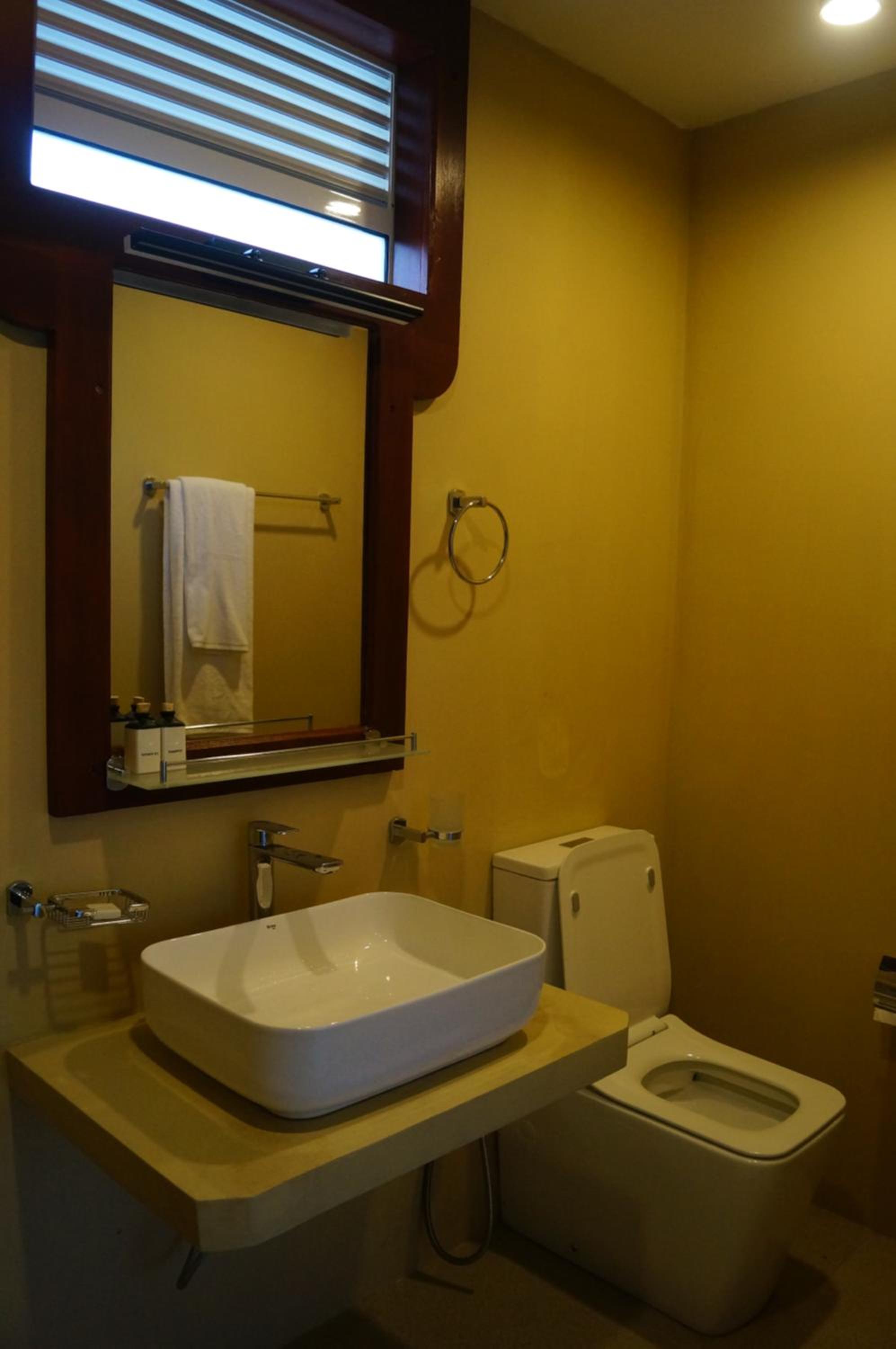 Deluxe Queen Room - Photo 17