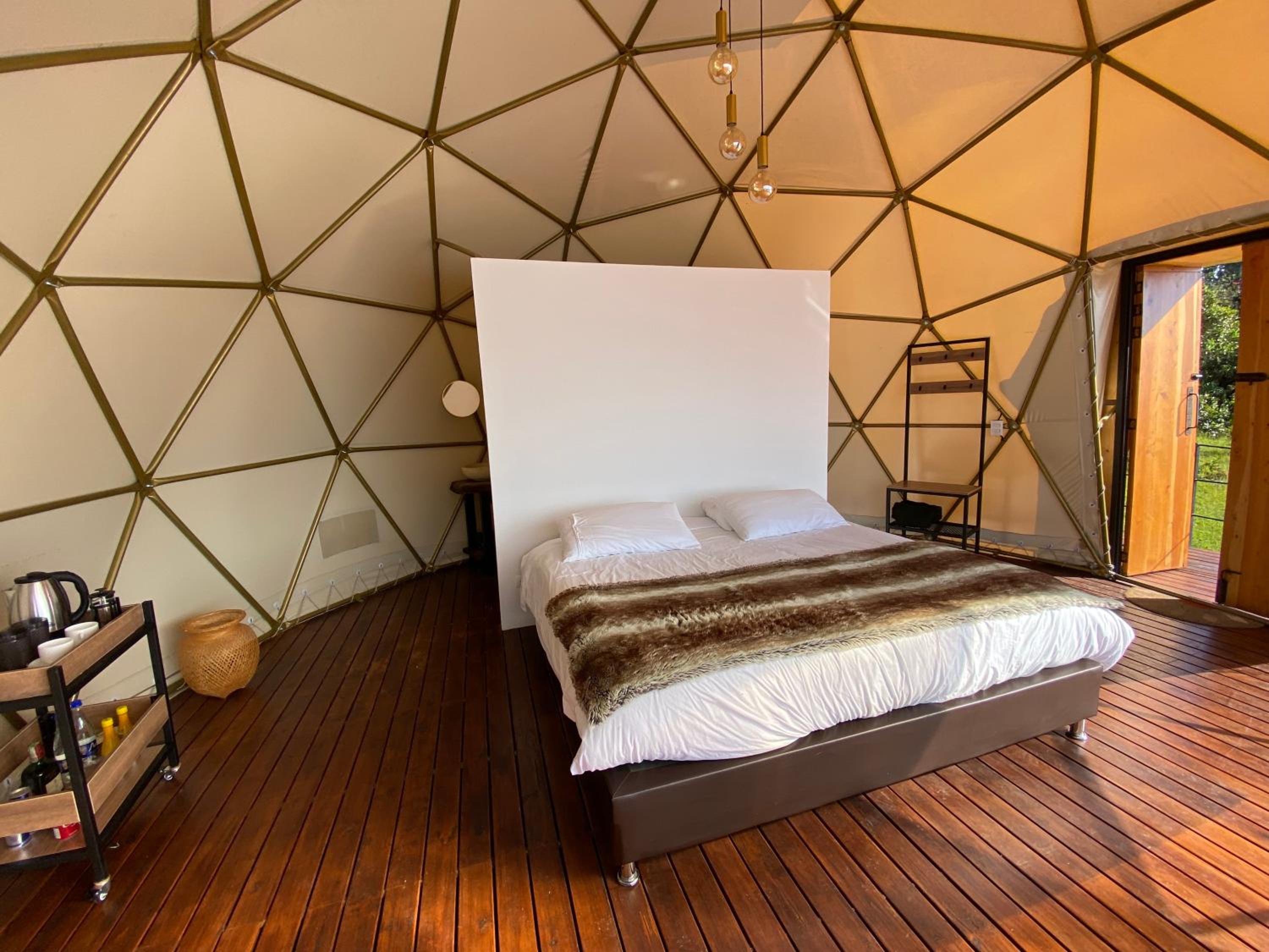 King Room with Spa Bath photo 1