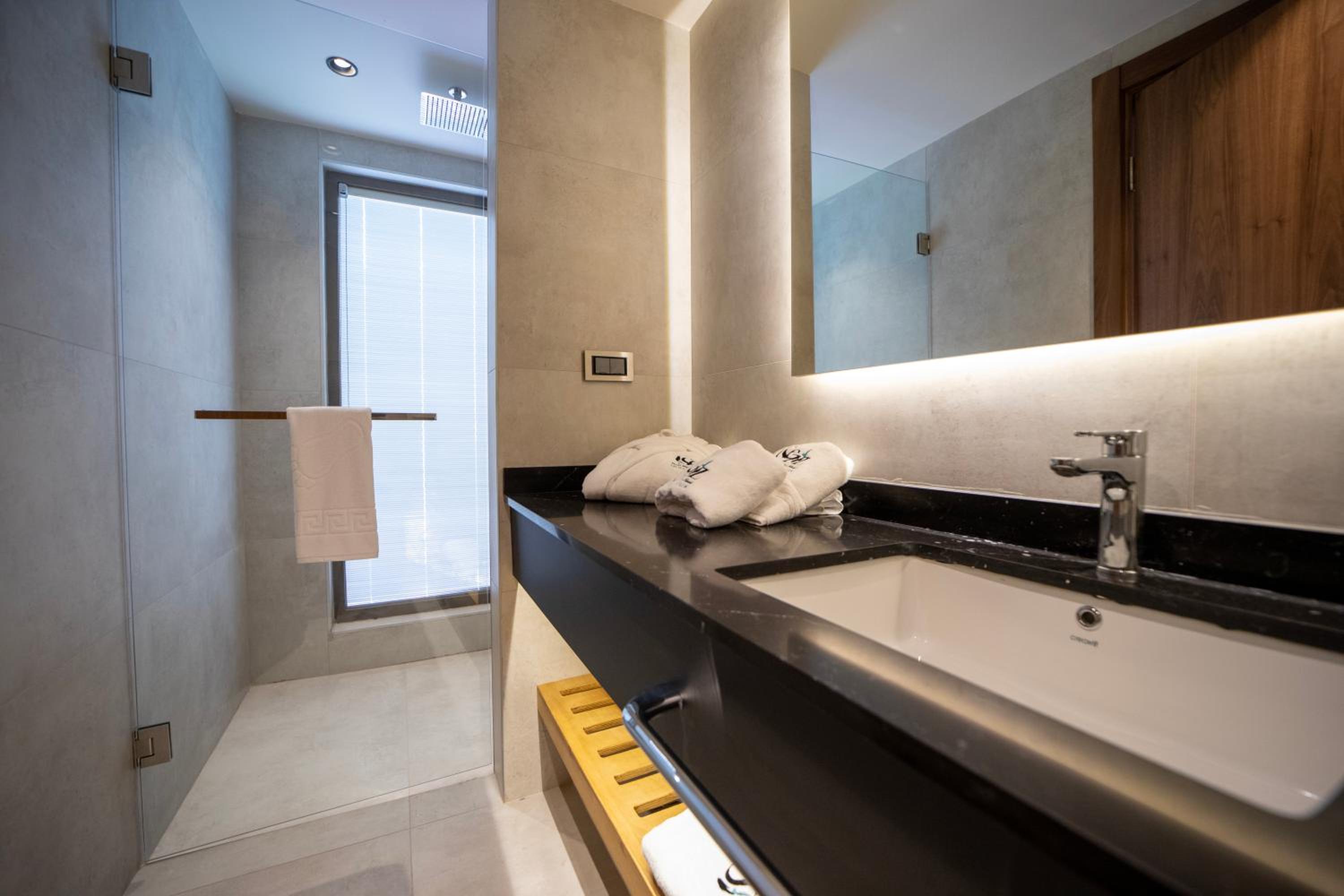 Deluxe Double or Twin Room - Photo 15