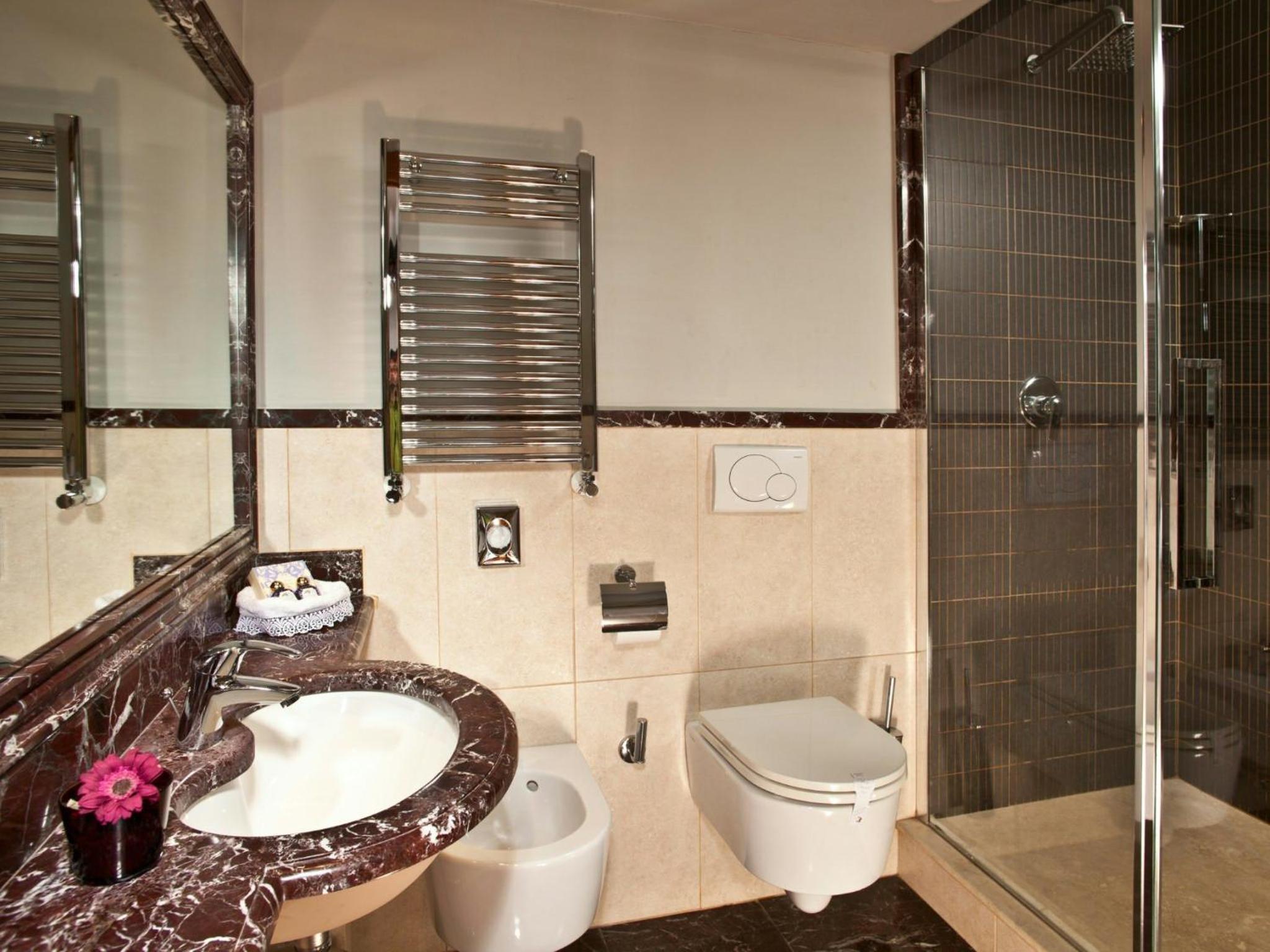 Deluxe Double Room photo 2