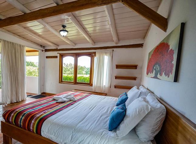 King Room with Garden View photo 2