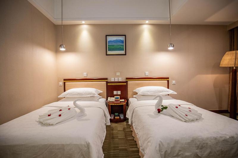 Twin Room photo 2