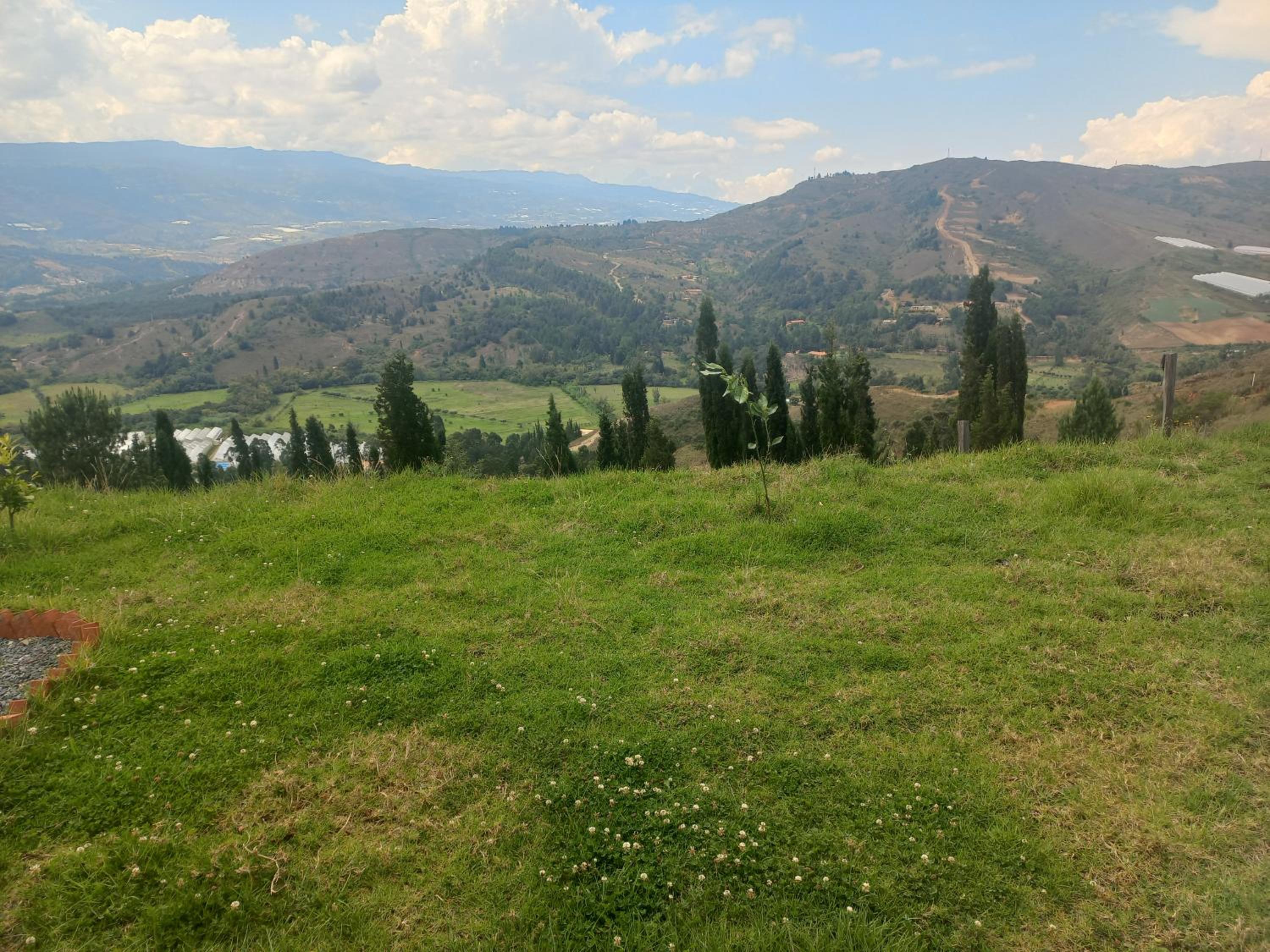 Deluxe Bungalow with Garden View photo 3