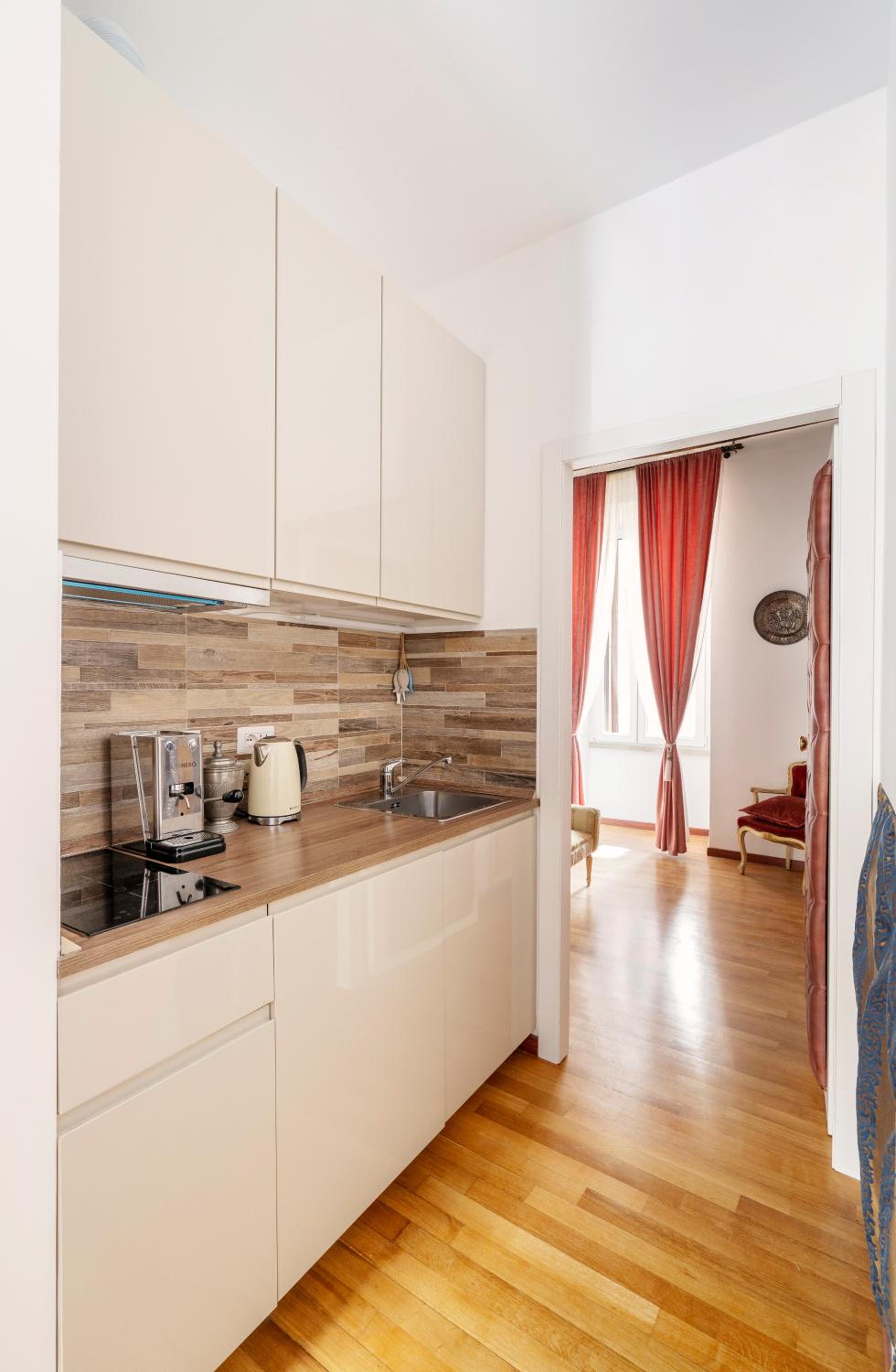 One-Bedroom Apartment photo 3