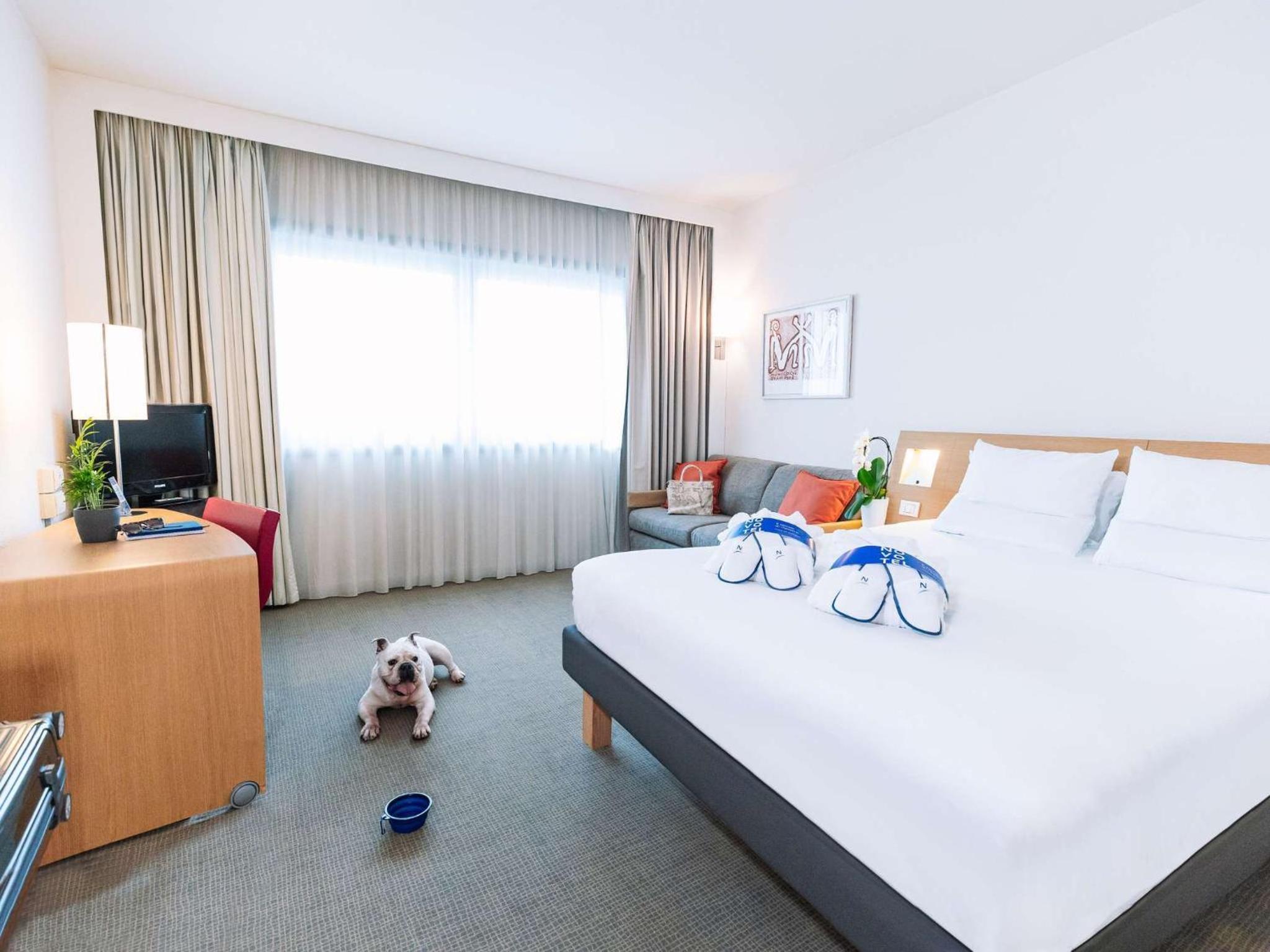 Executive Room - Photo 8
