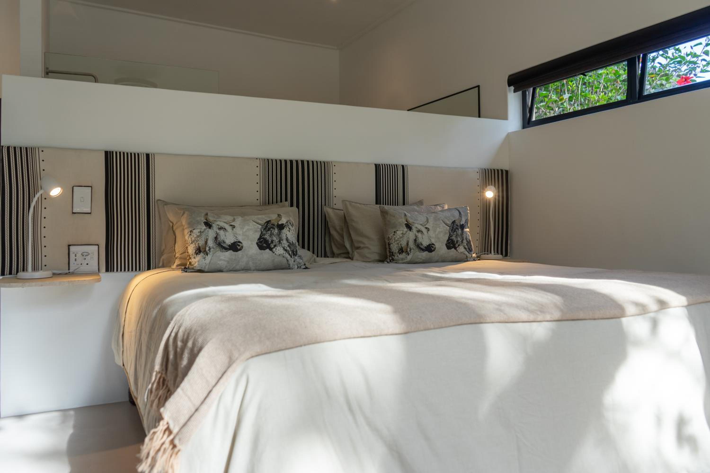 Premier King Room photo 1