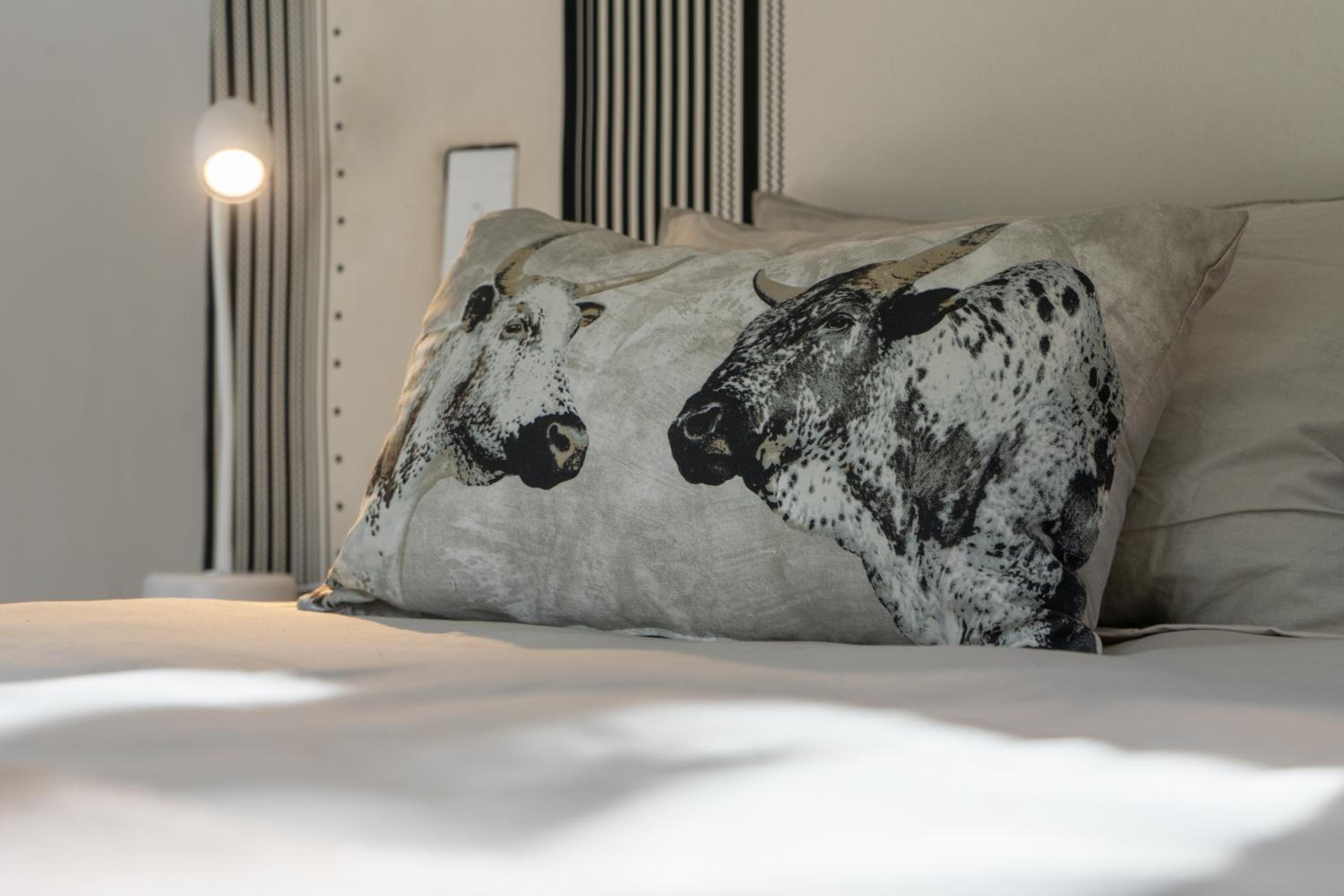 Superior King Room photo 1