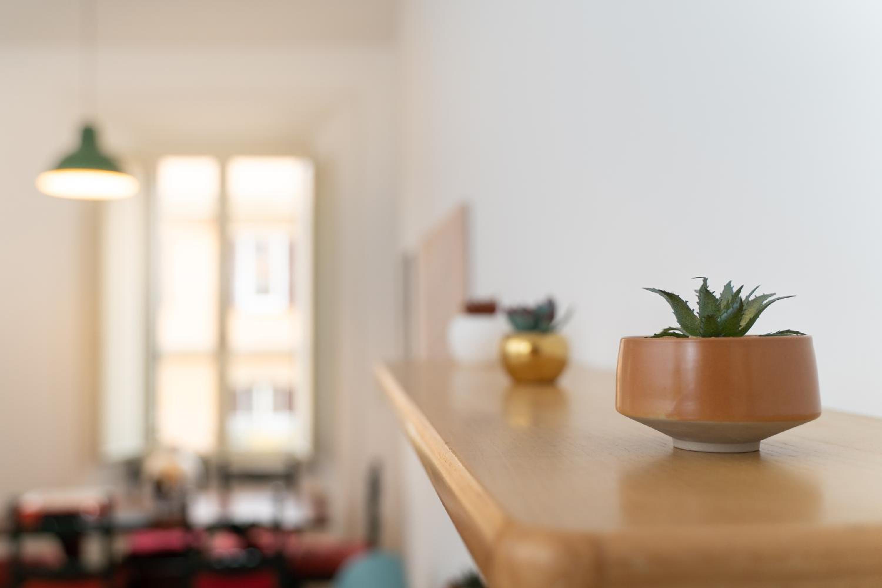 Superior Apartment photo 3