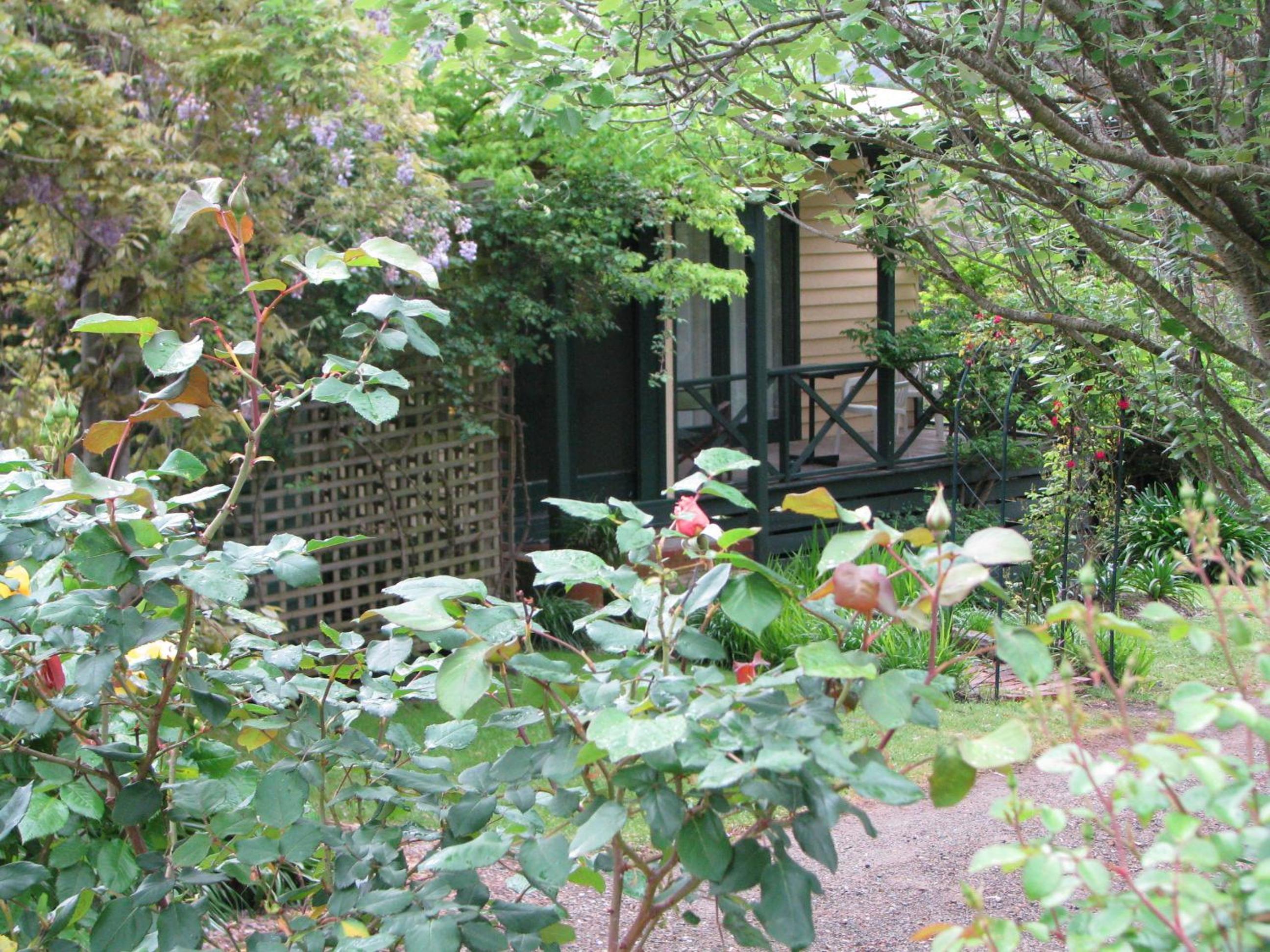Two-Bedroom Cottage photo 3