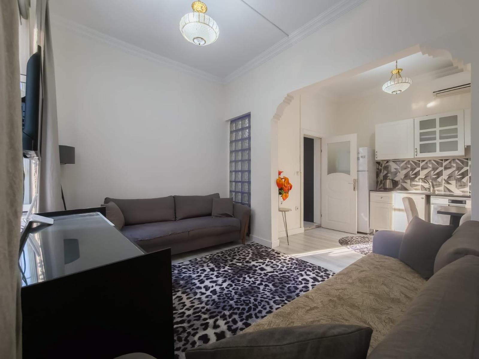 One-Bedroom Apartment photo 3