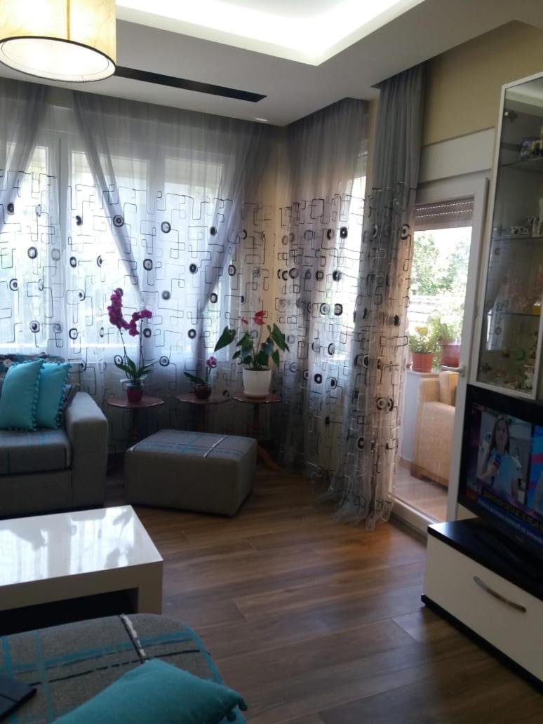 Apartment with Garden View