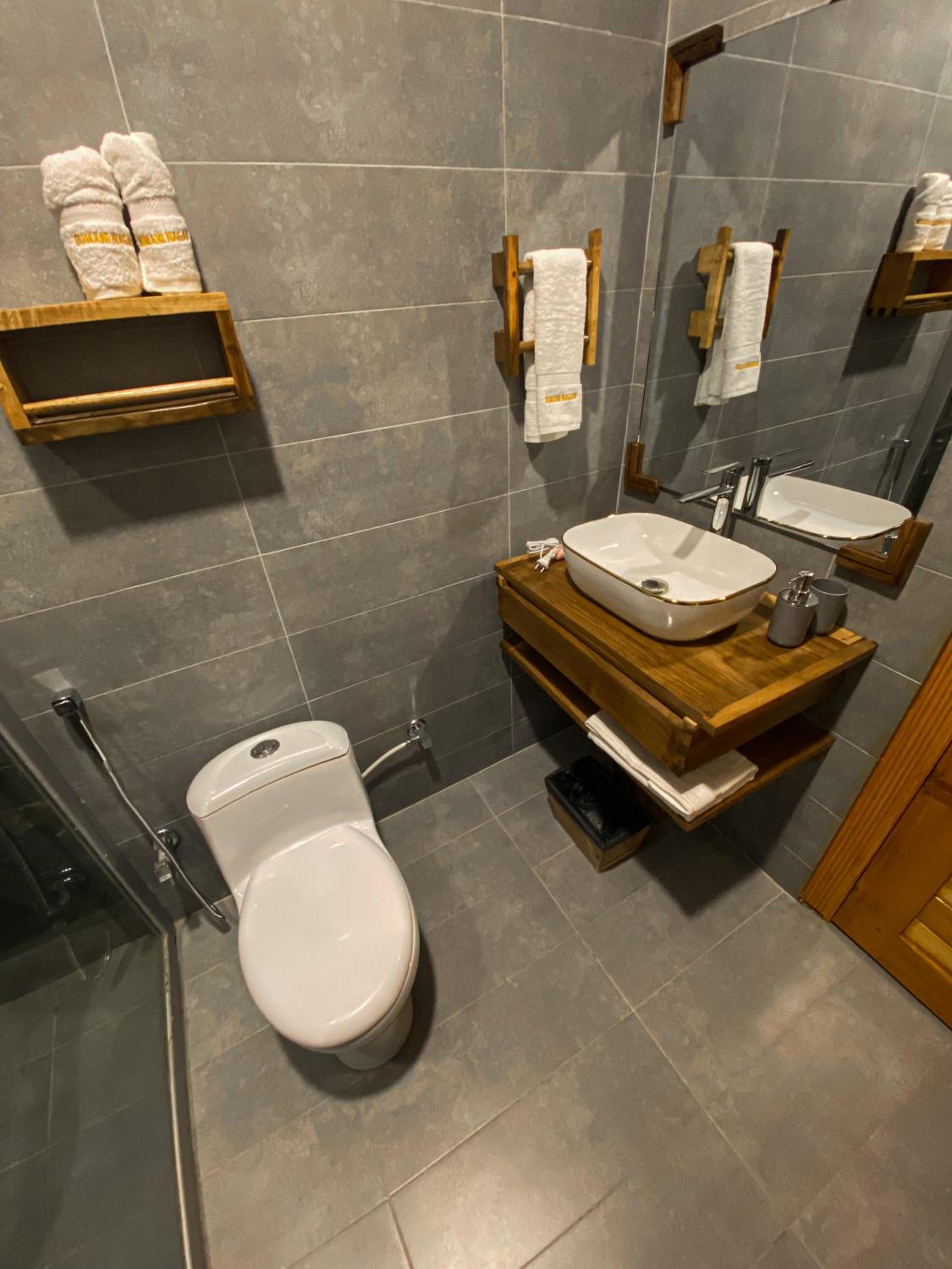 Deluxe Double or Twin Room photo 2