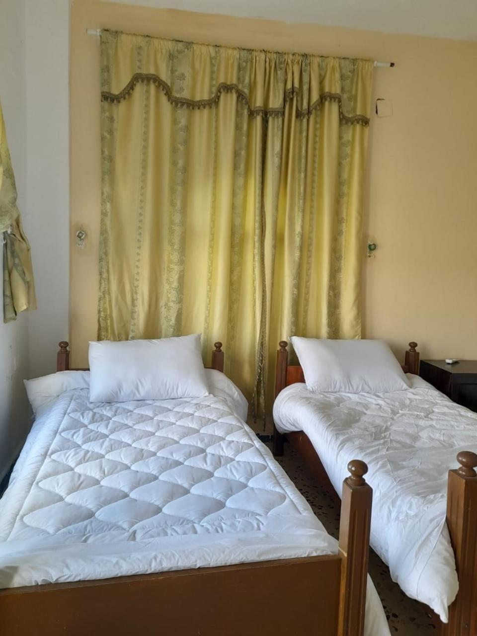 Economy Twin Room photo 1
