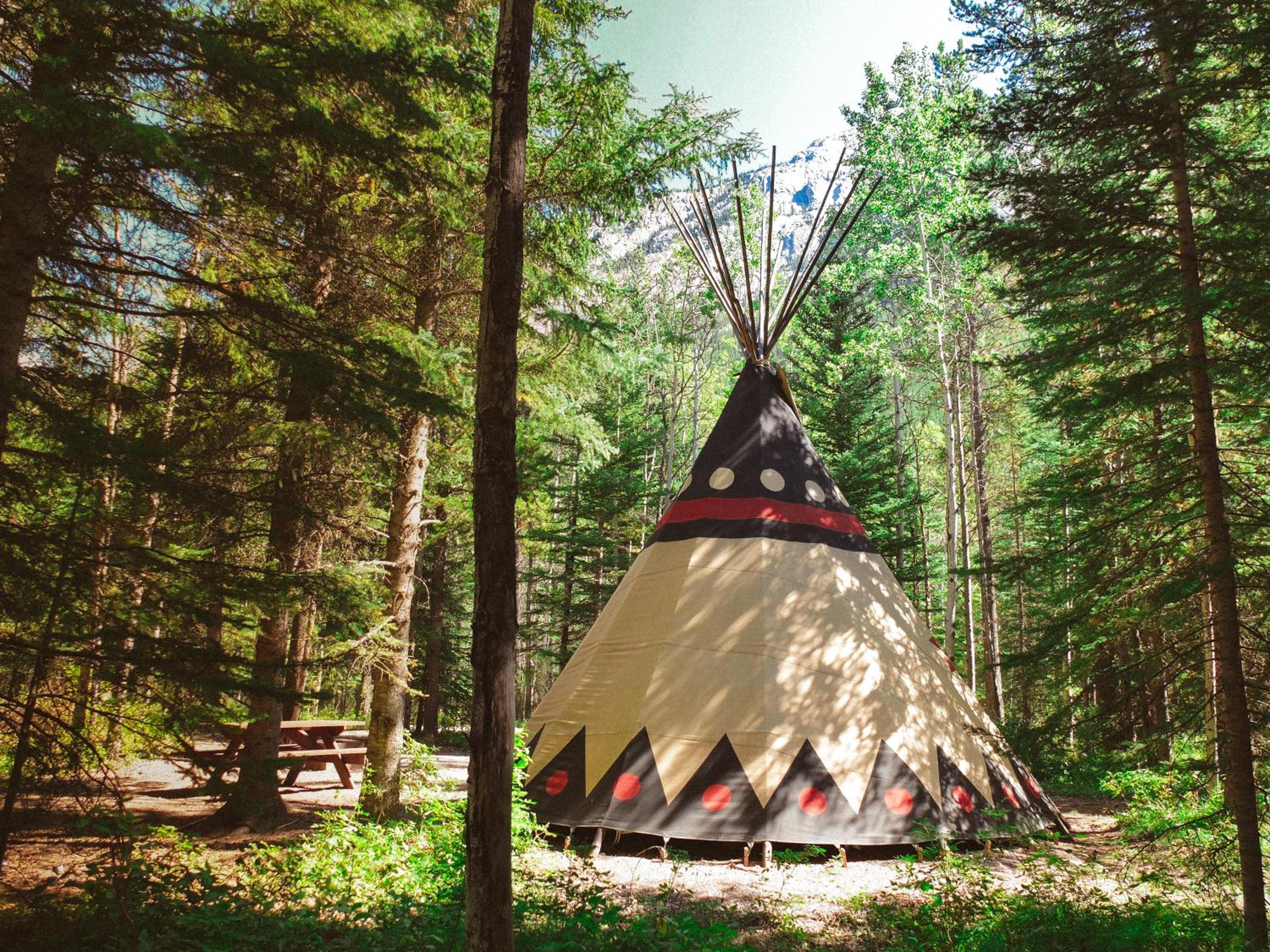 Family Tepee (walk-in)  photo 3