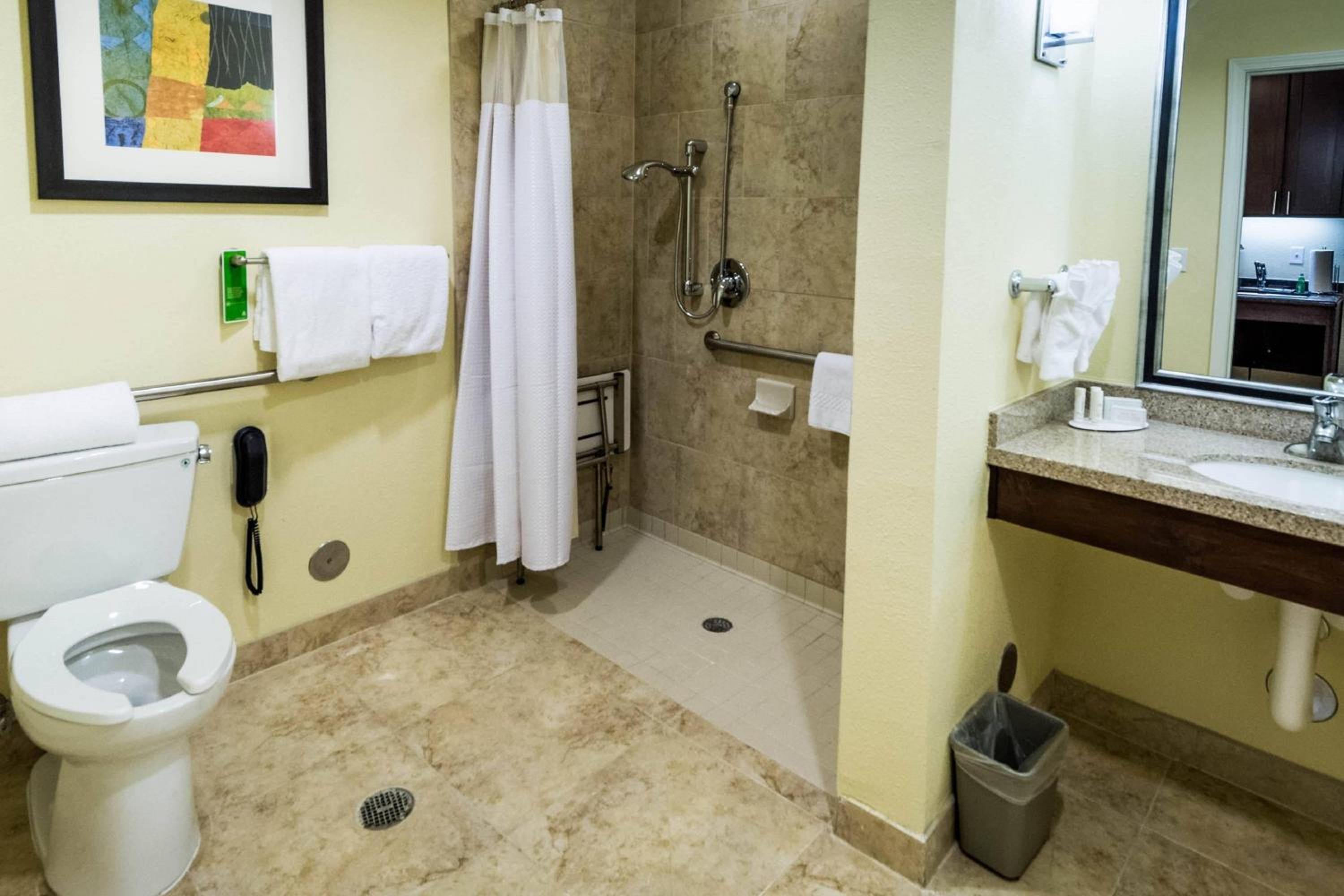 King Studio Suite with Sofa Bed - Hearing Accessible