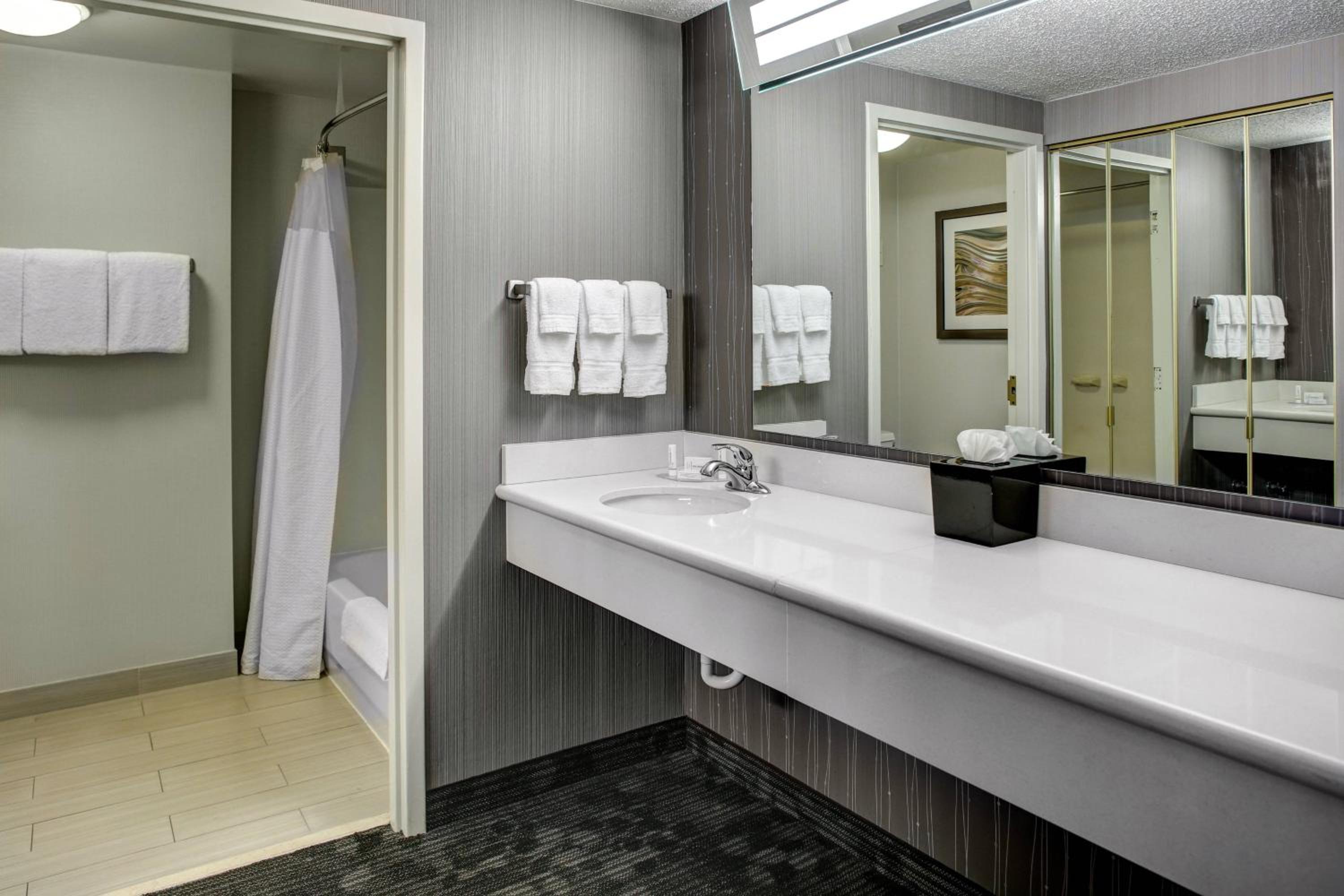One-Bedroom King Suite with Sofa Bed - Photo 4