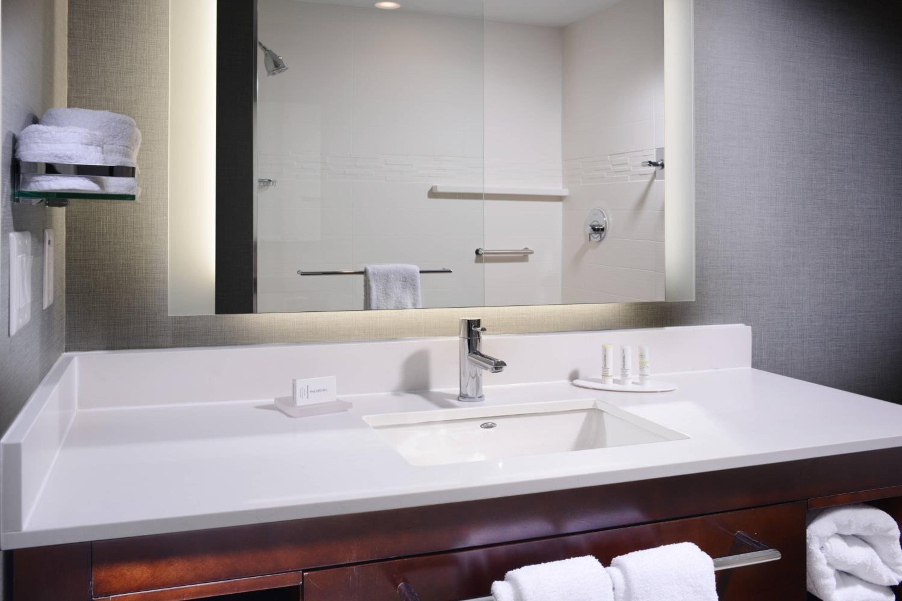 One-Bedroom Suite photo 3