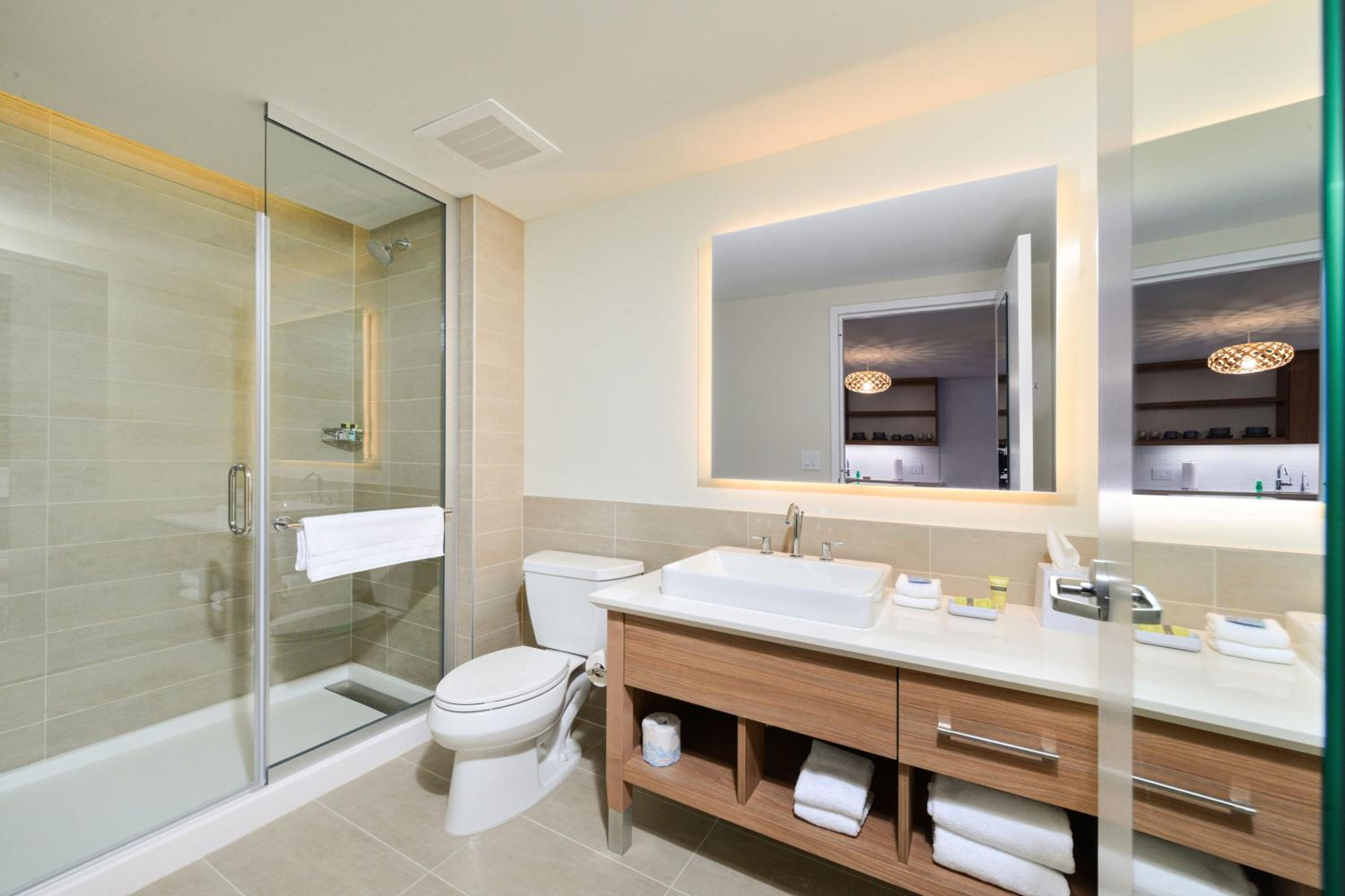 One-Bedroom King Suite with Sofa Bed  photo 2