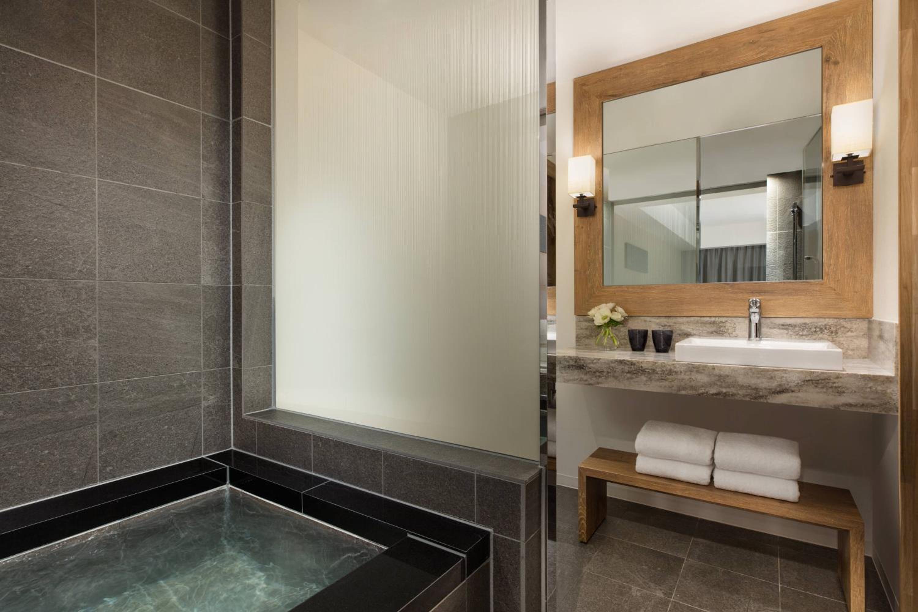 Premium King Room with Hot Spring photo 3