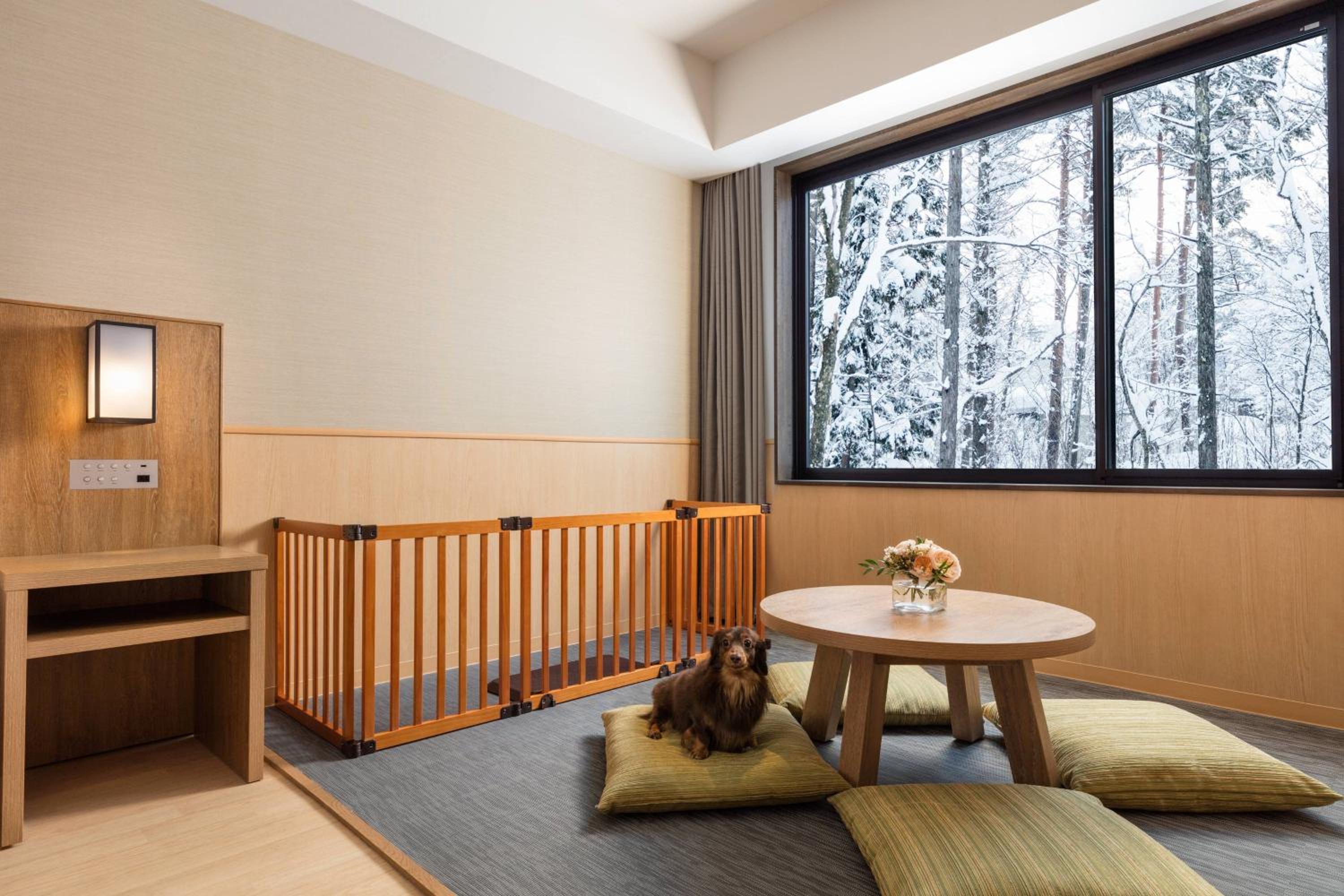 King Guest Room - Dog Friendly photo 3