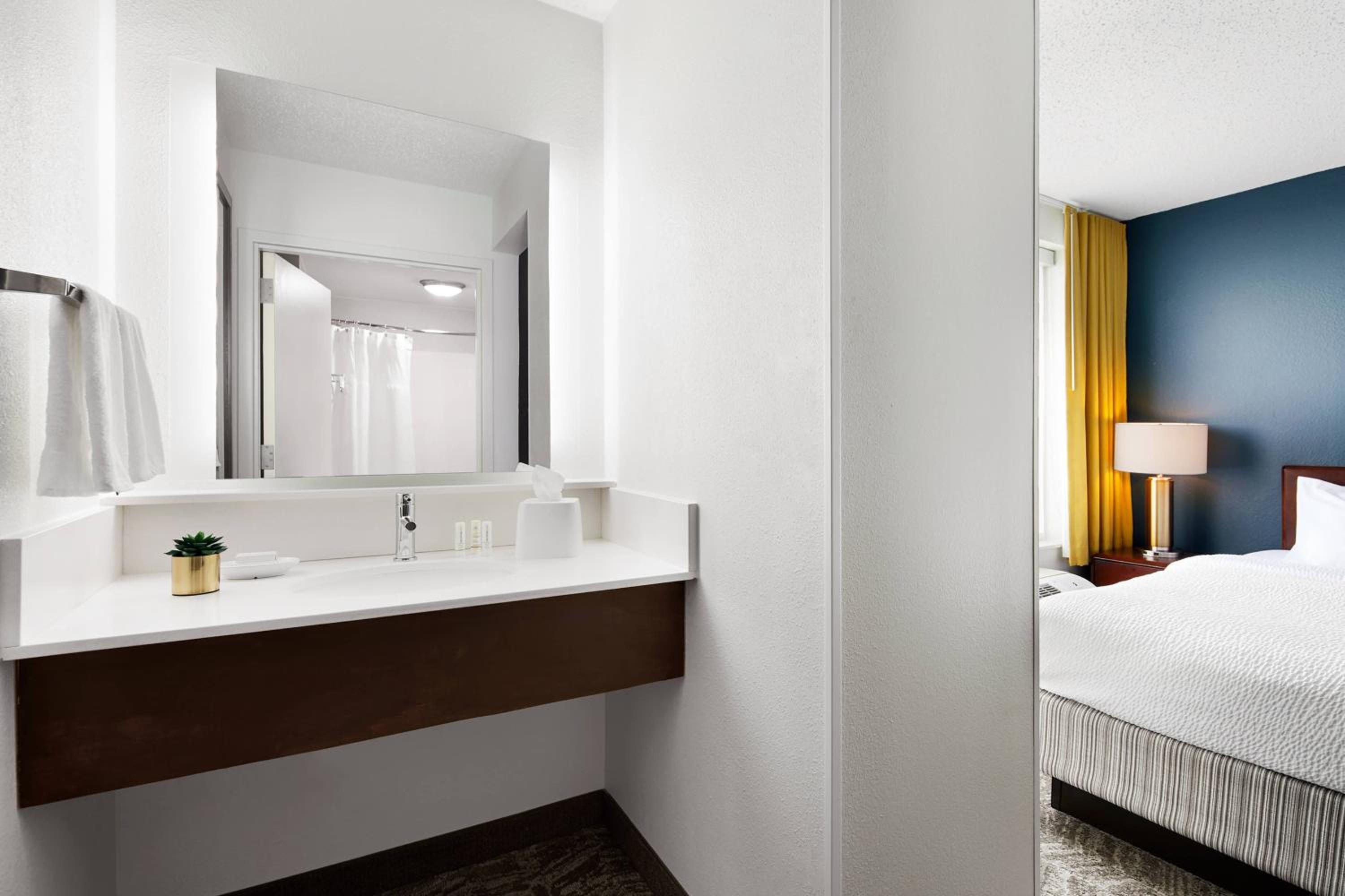 One King Bed Suite with Sofa bed - Photo 4