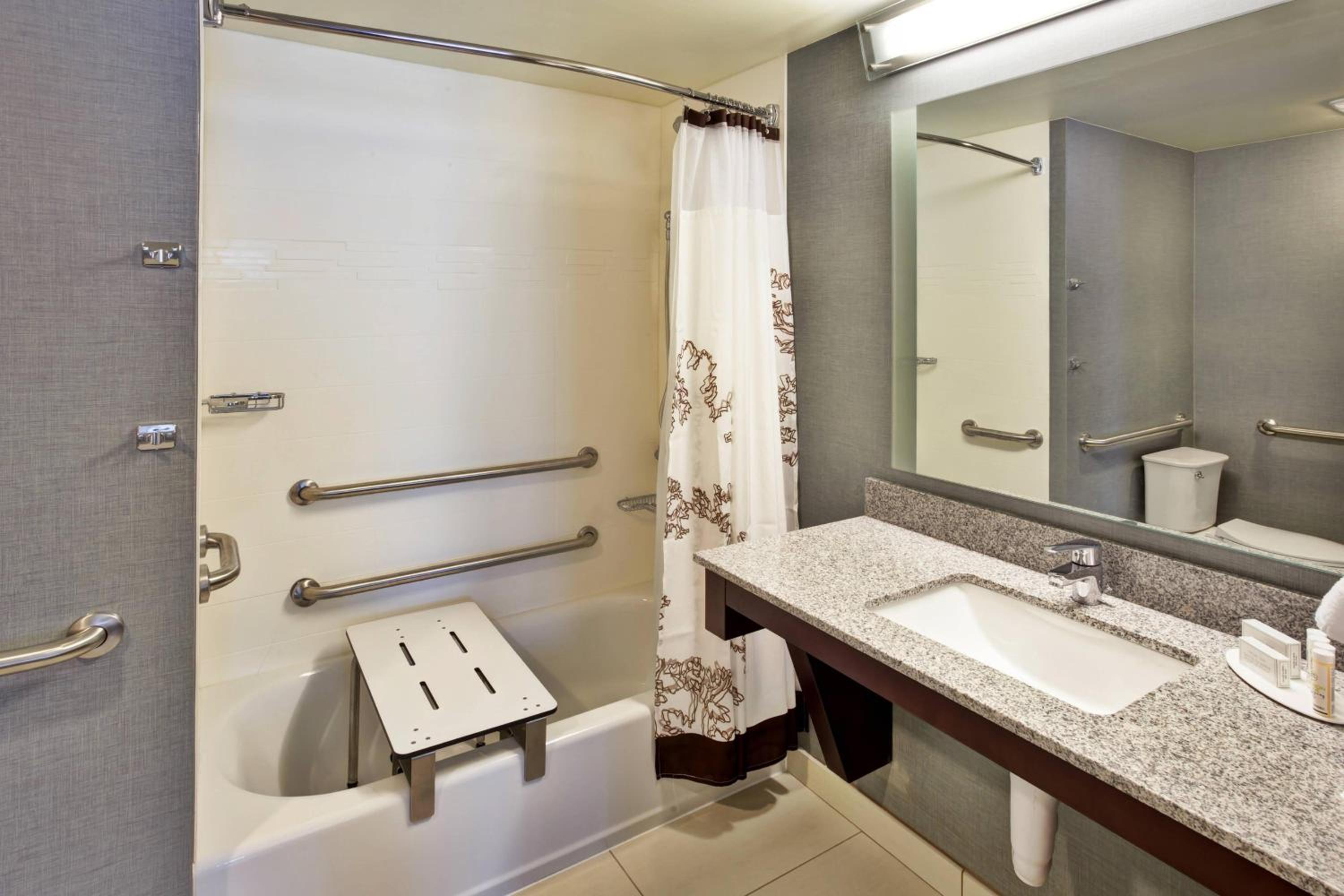 One-Bedroom King Suite with Sofa Bed photo 3