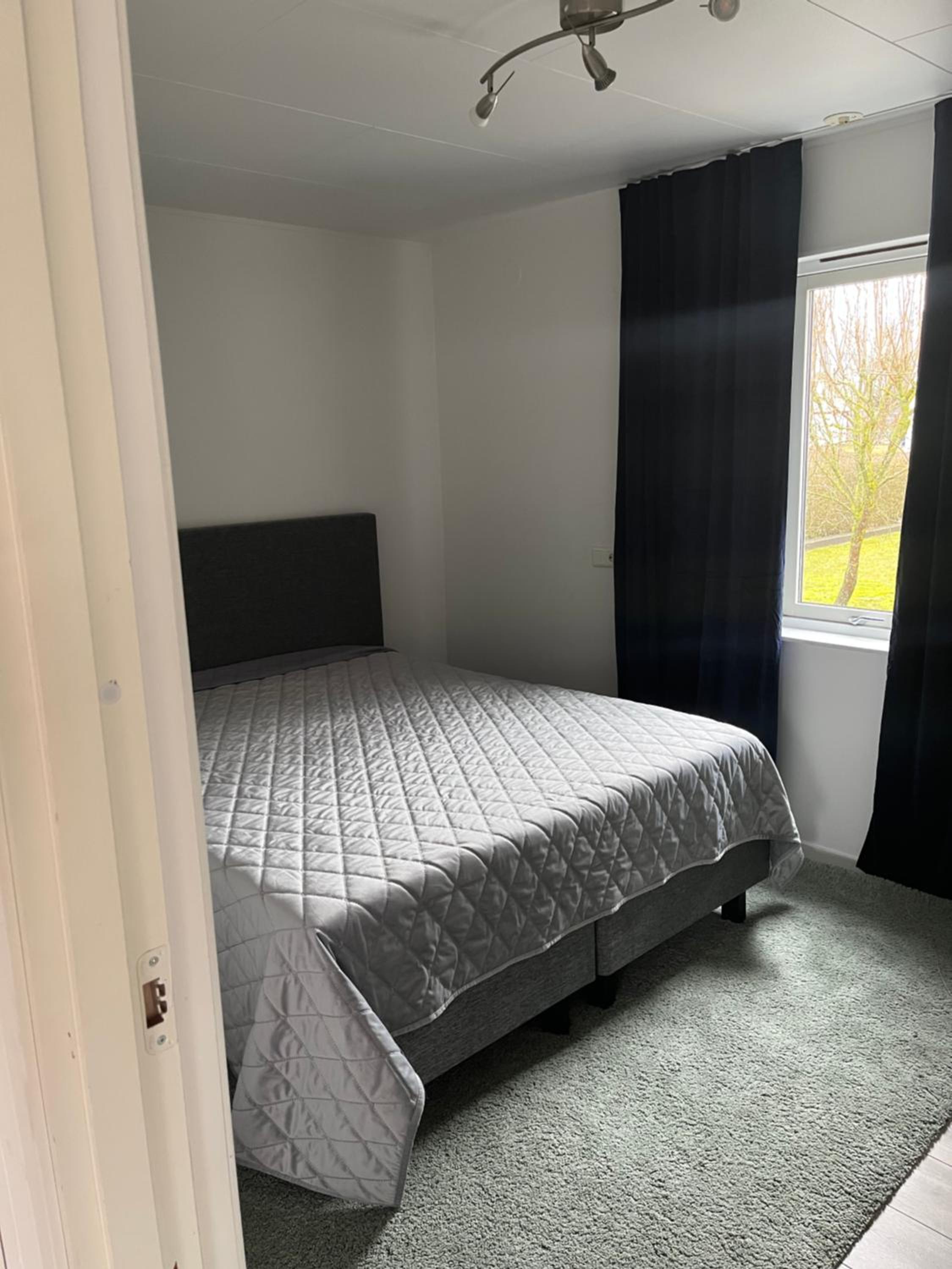 One-Bedroom Apartment photo 2