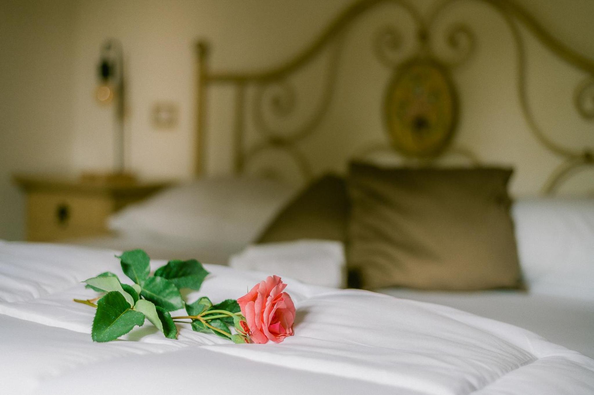 Tenuta delle Rose - カントリーハウス, 写真 10