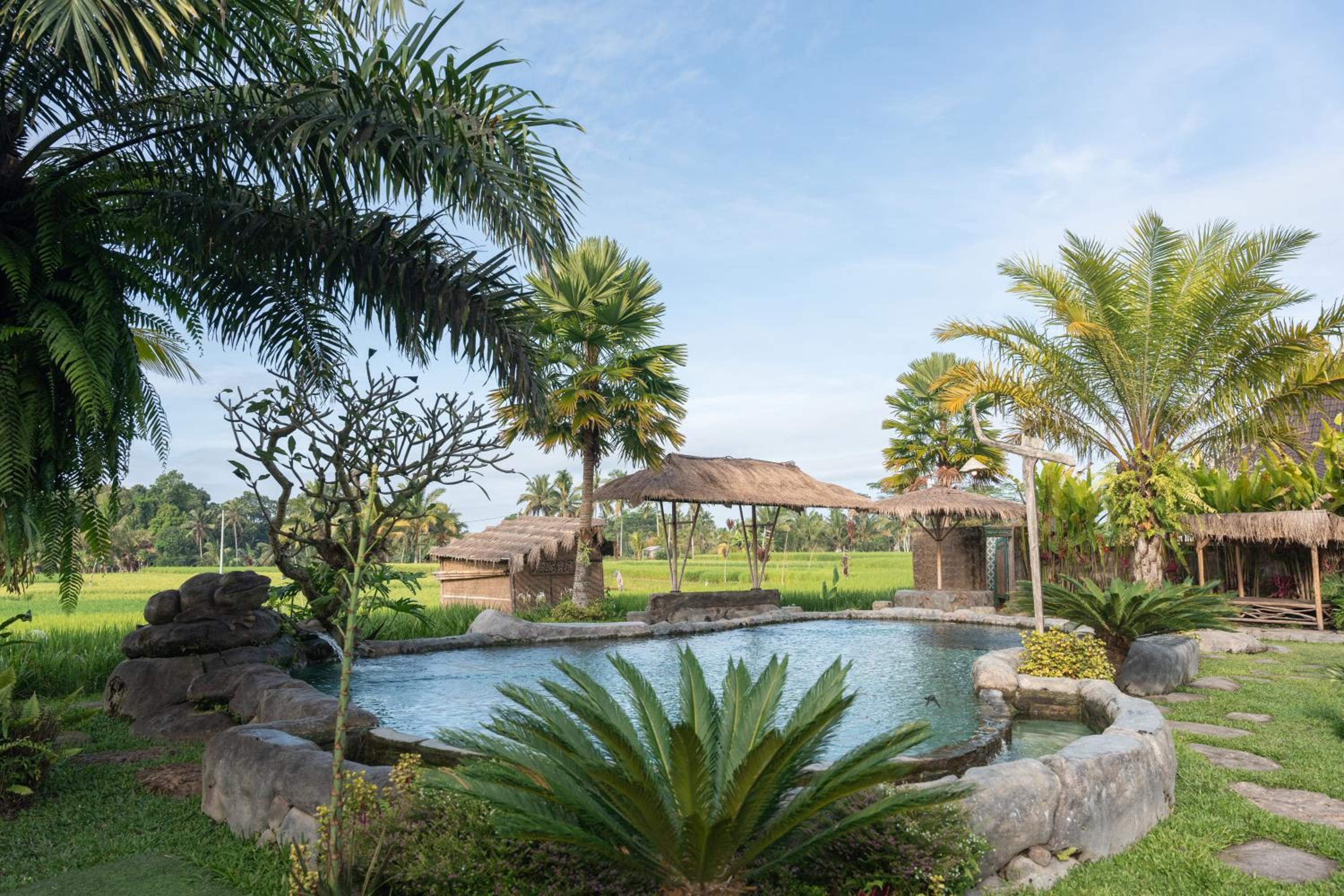 Suite with Garden View - Photo 9