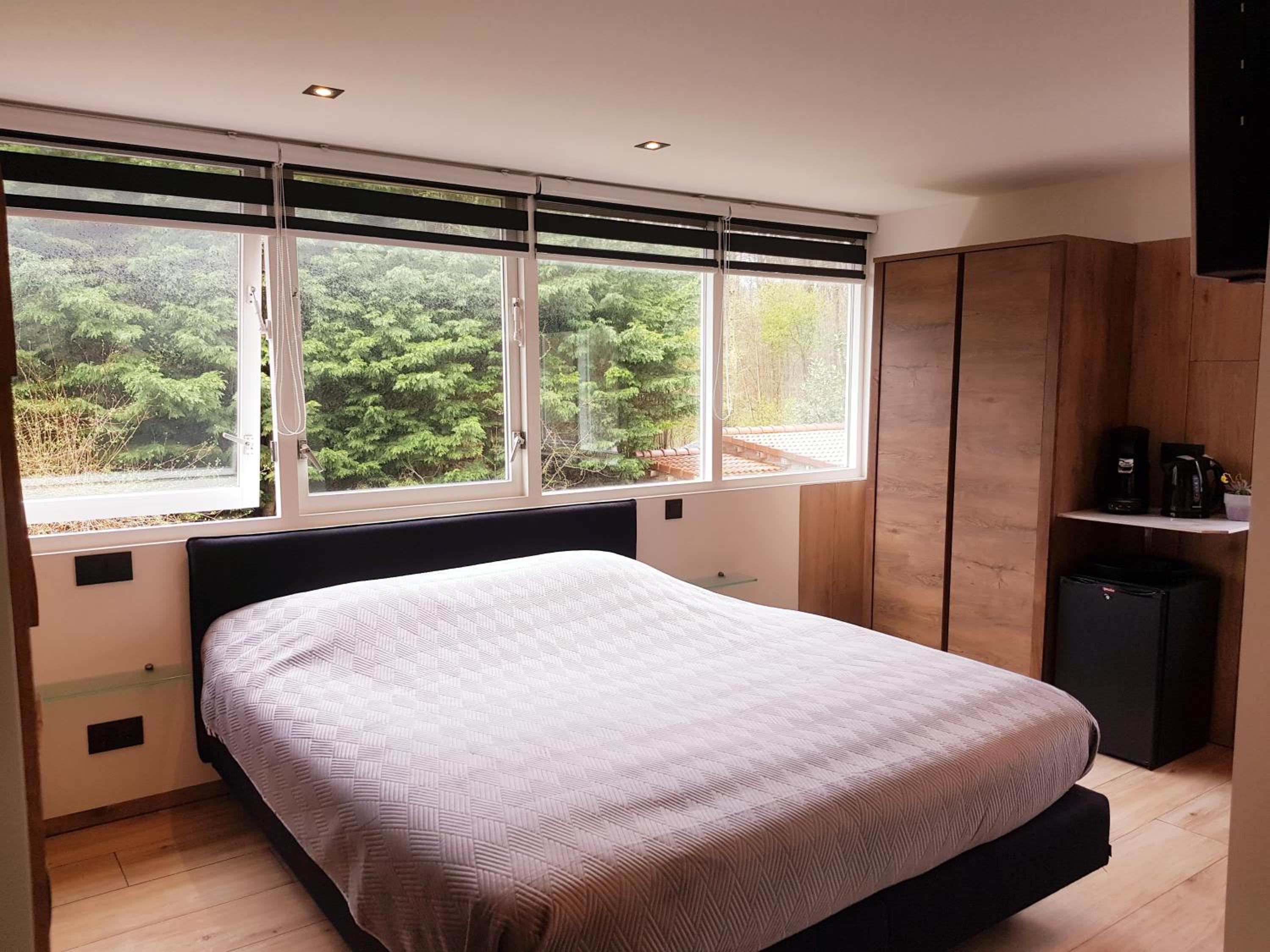 Deluxe King Room photo 1