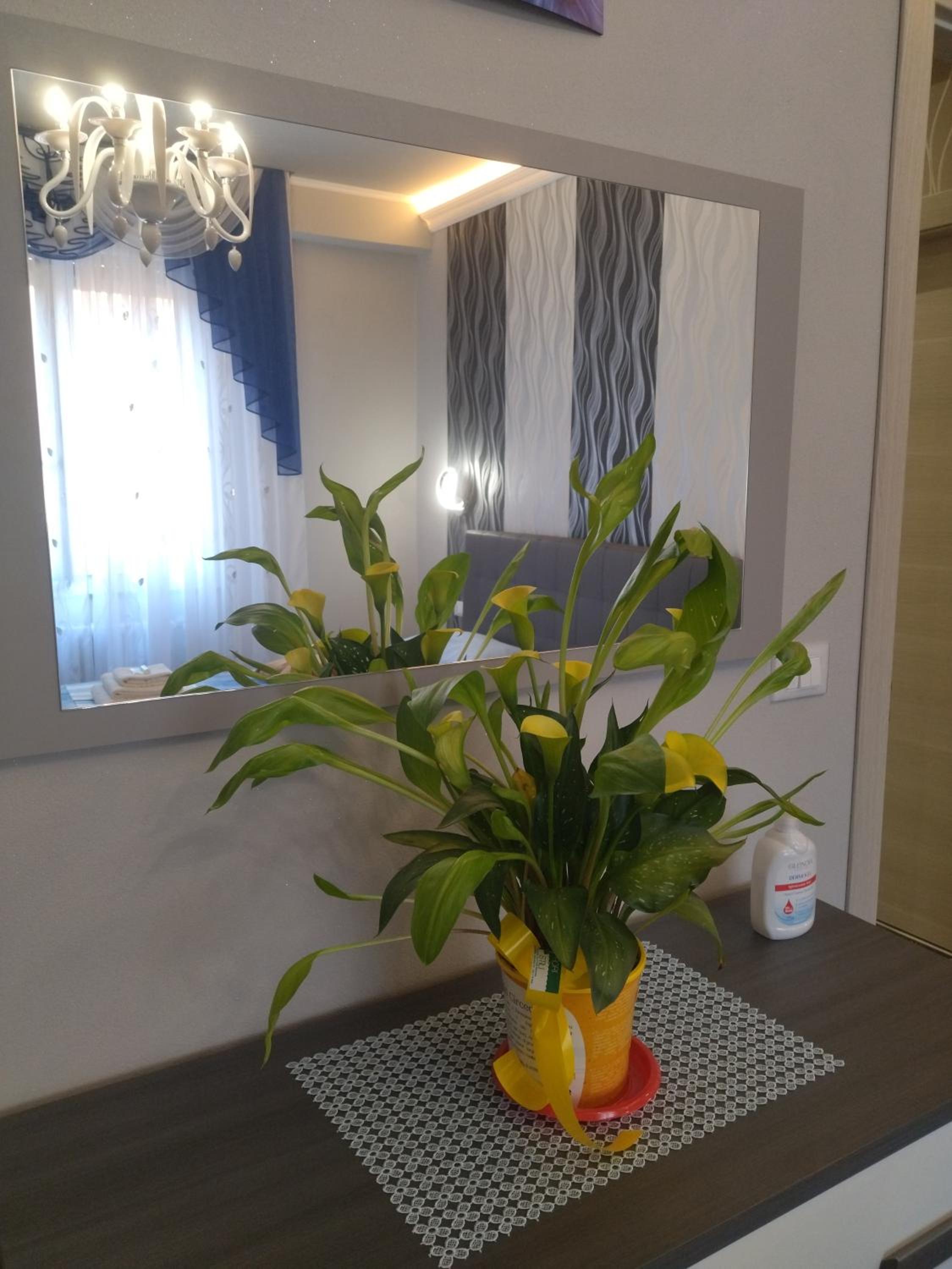 Double Room with Private External Bathroom - Photo 17