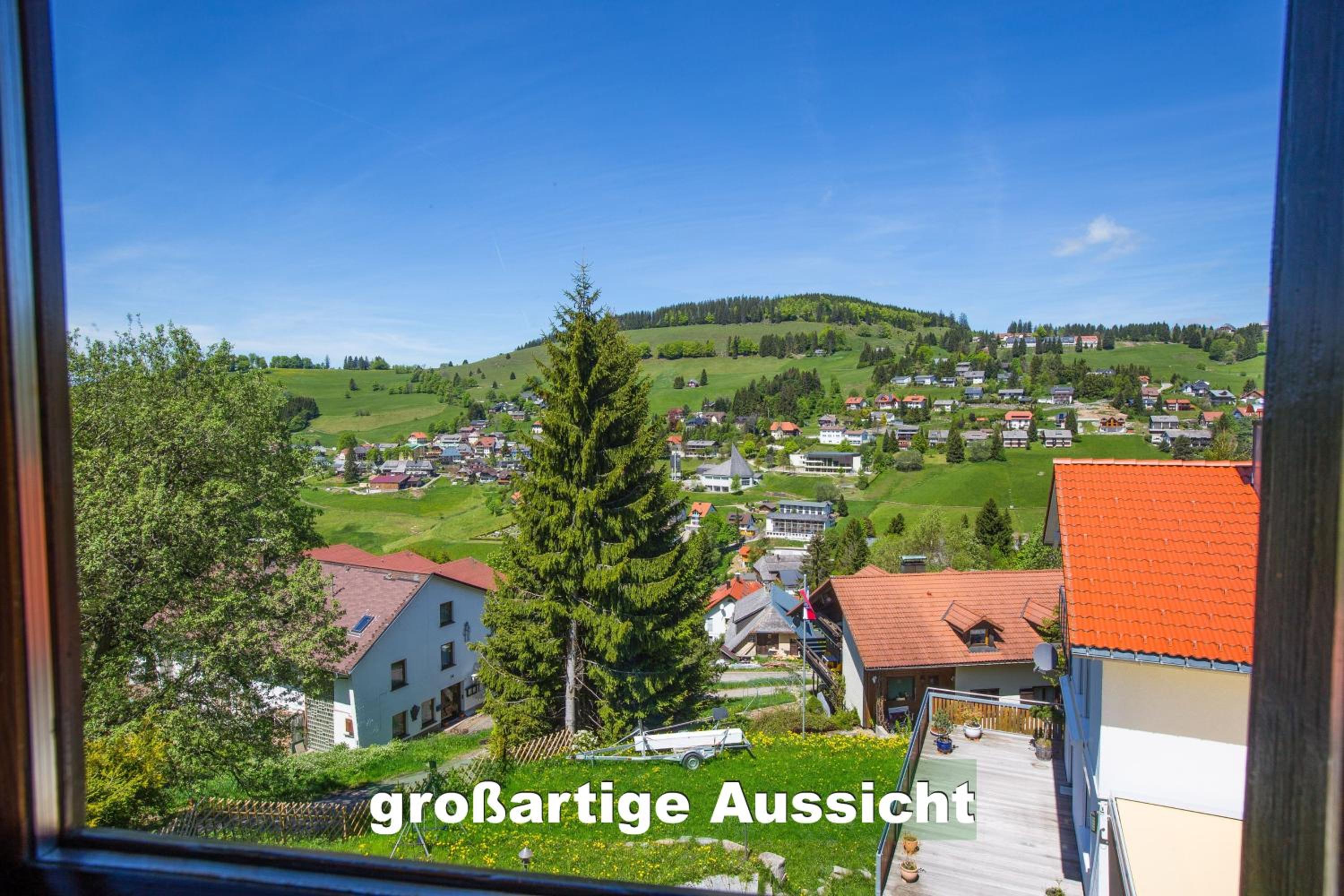 Apartment with Mountain View - Photo 13