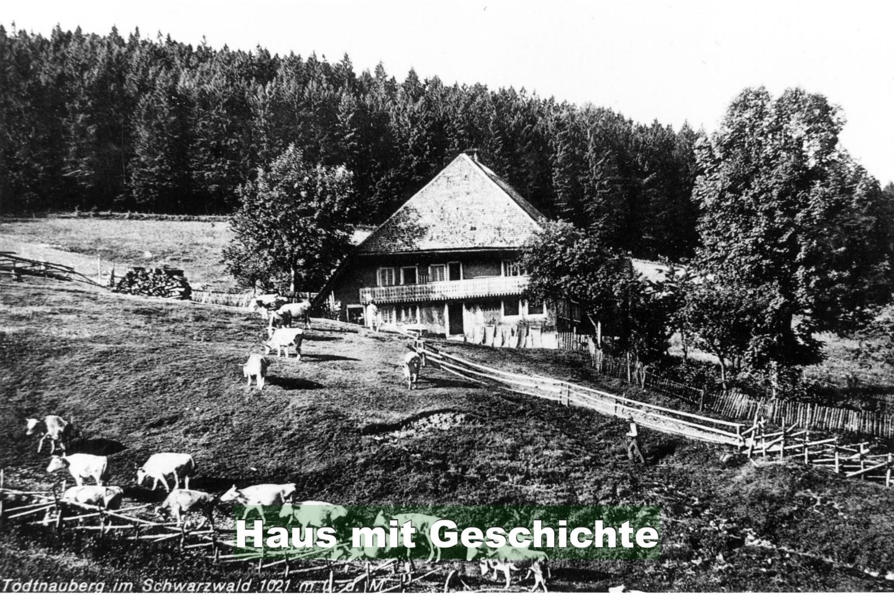 Apartment with Mountain View - Photo 22