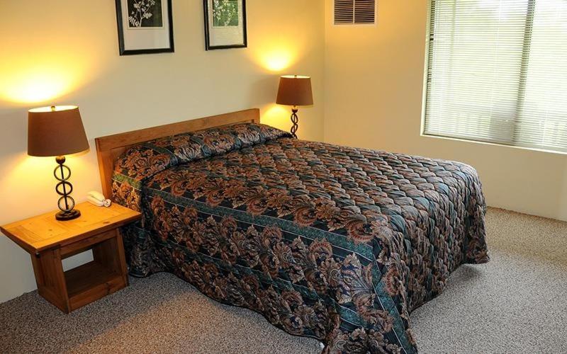 Superior Apartment photo 2