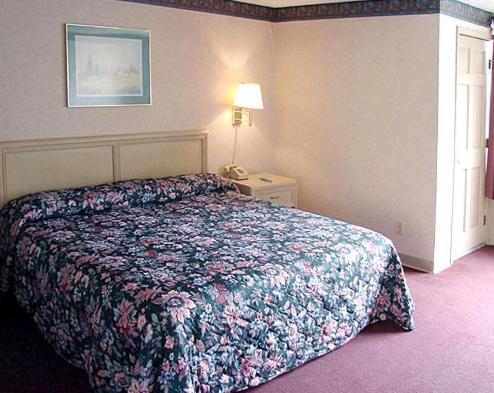 Double Room with Two Double Beds photo 1