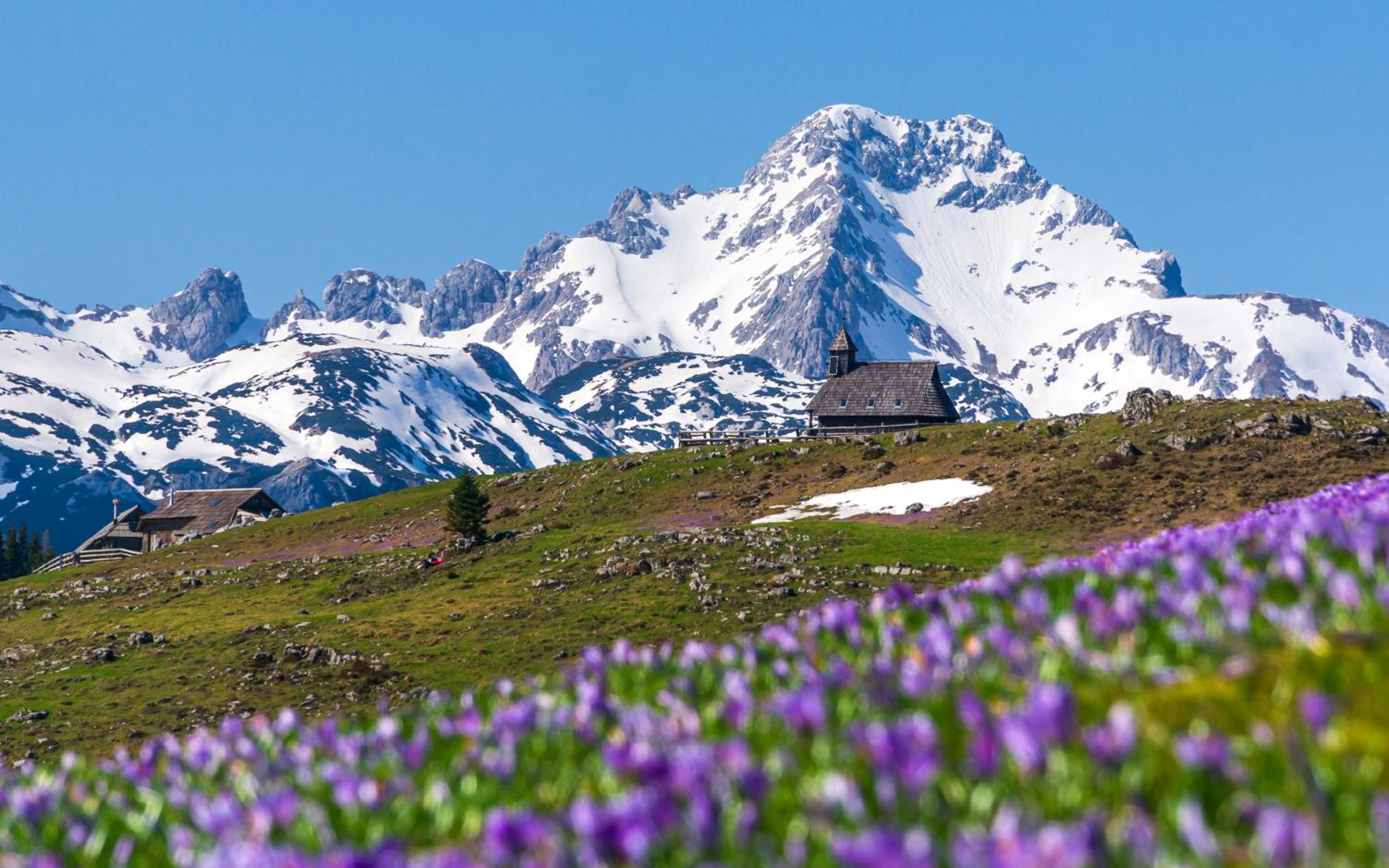 Chalet - Photo 15