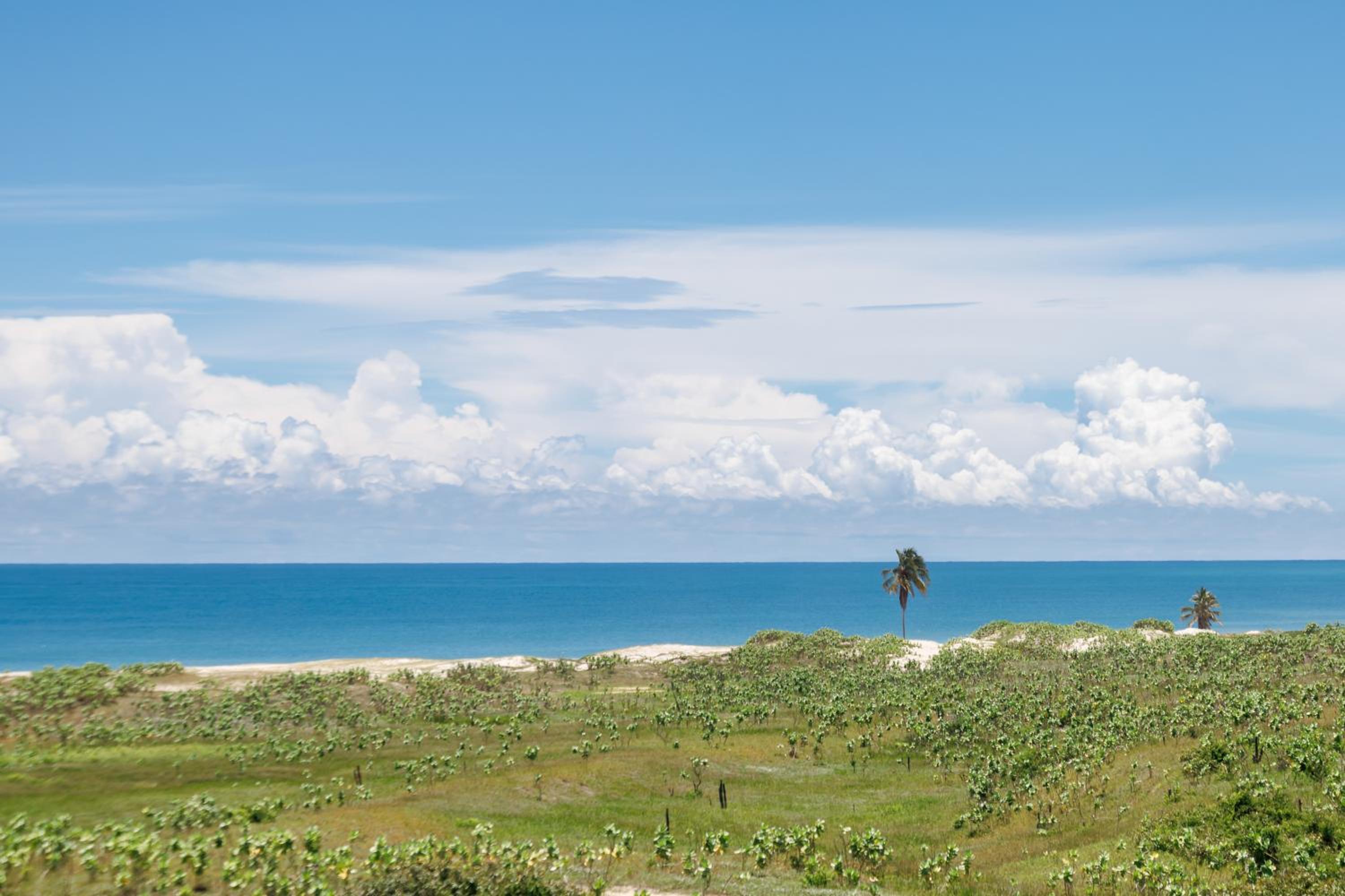 Apartment with Sea View - Photo 2