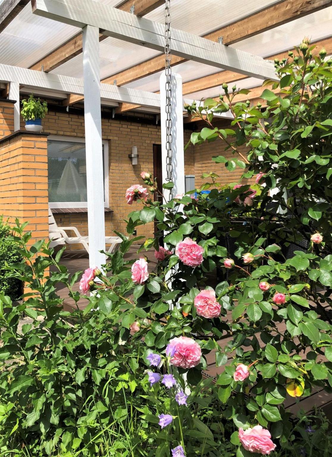 Bungalow photo 3