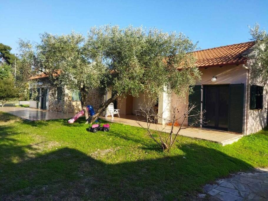 Three-Bedroom House photo 2