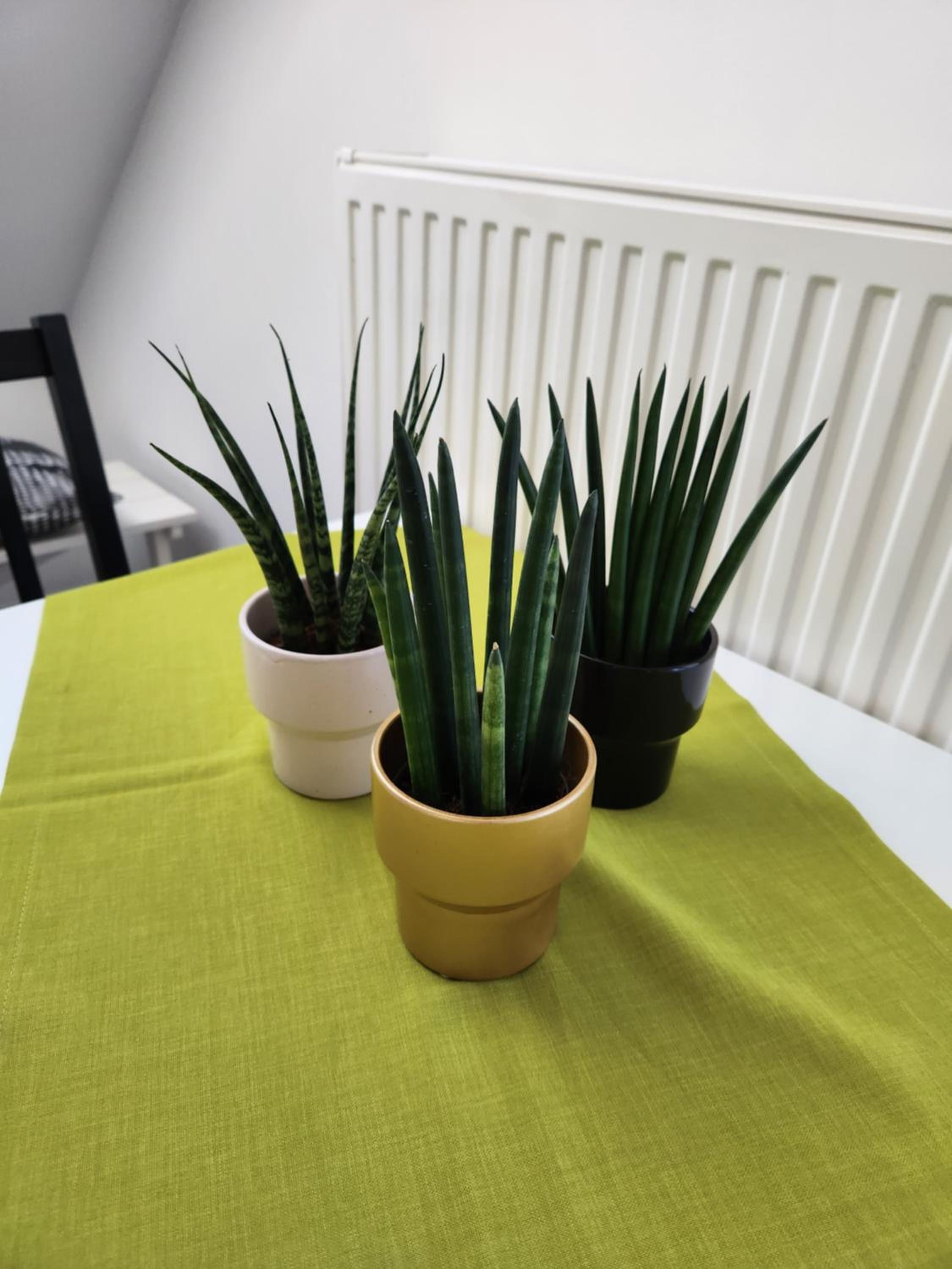 Apartamento com Dois Quartos com Varanda e Vista para o Castelo
