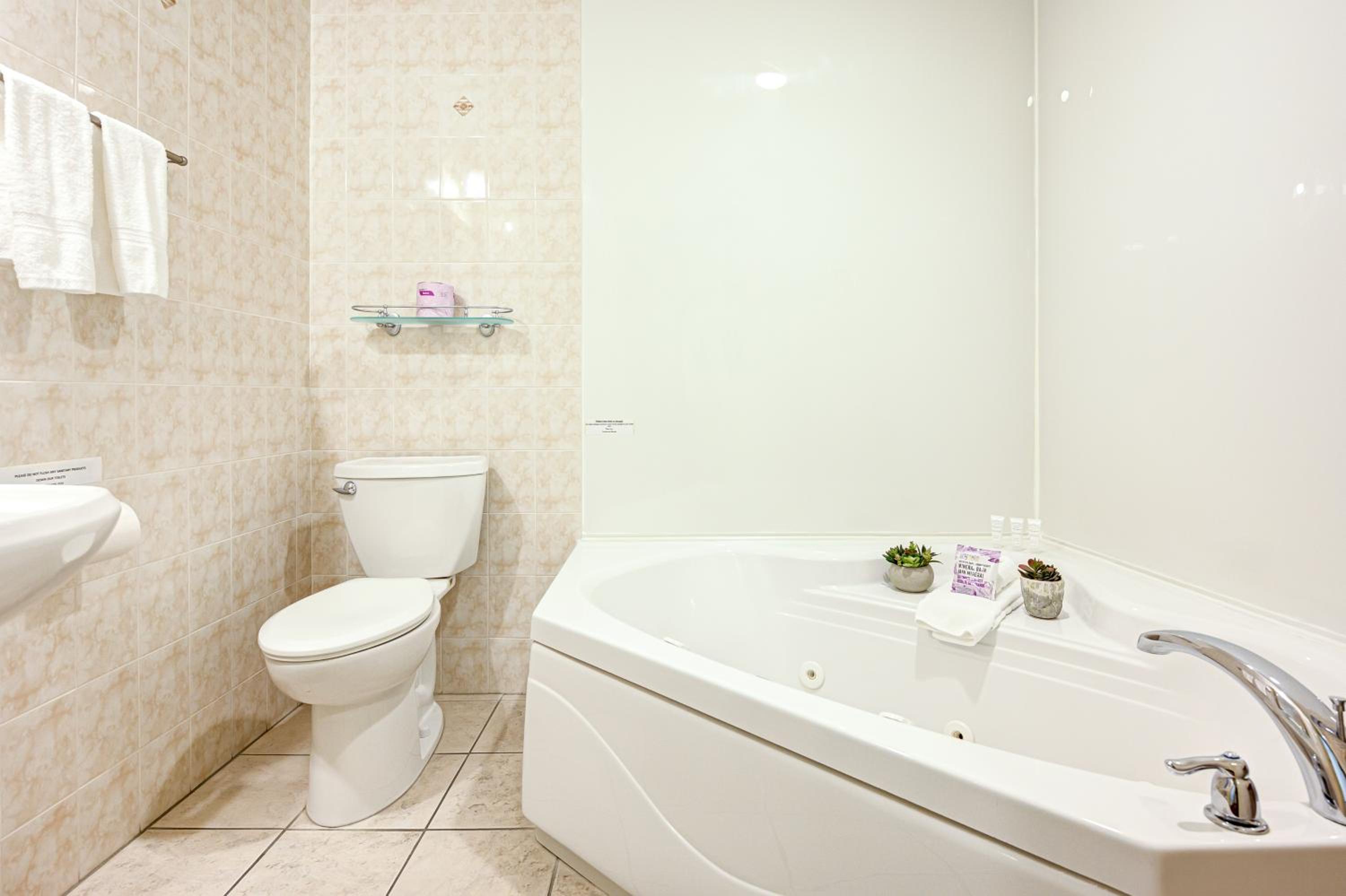 One-Bedroom Suite