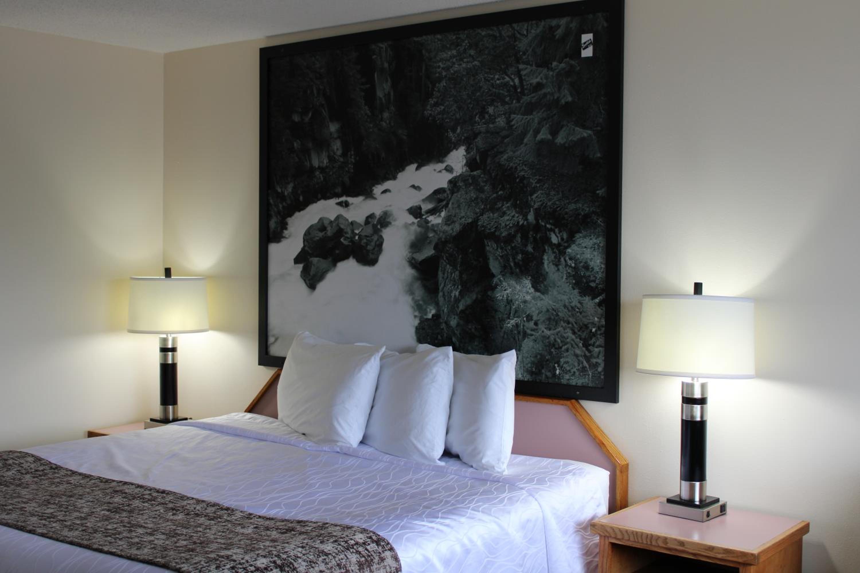Standard Queen Room photo 1