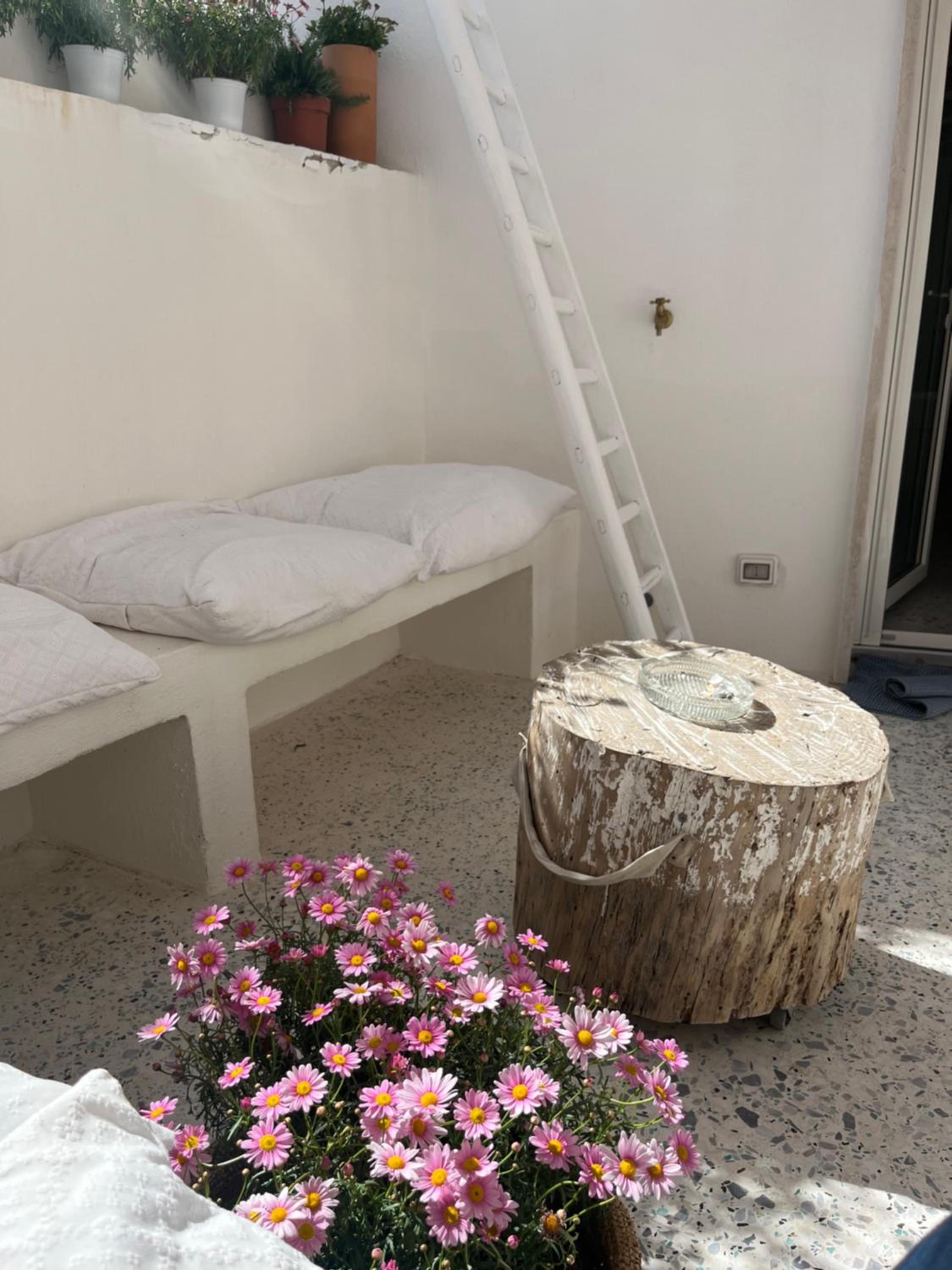 Double Room with Terrace photo 3