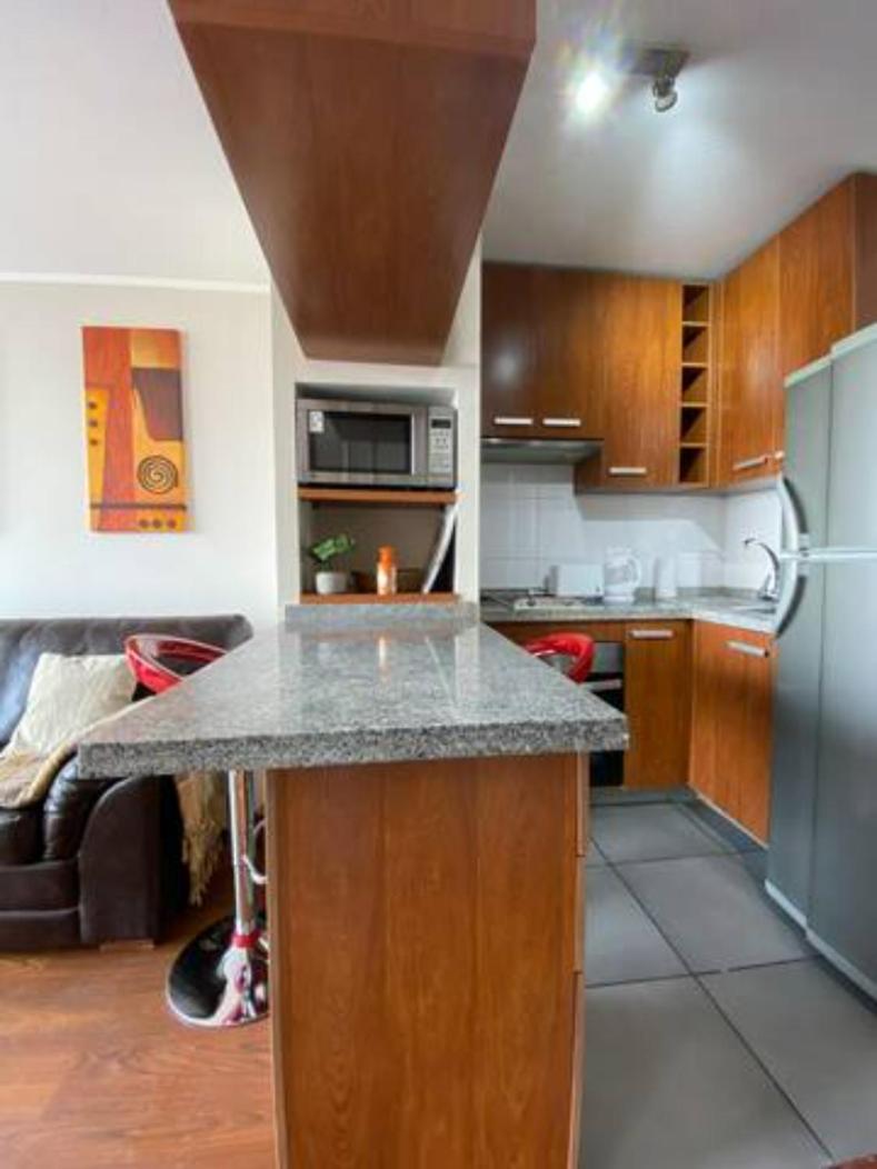 One-Bedroom Apartment photo 2