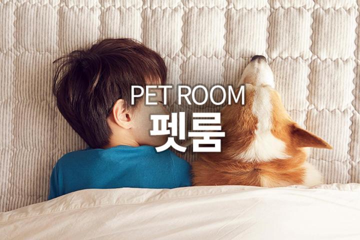 [Pet Friendly] Superior Double Room - No parking,no-cooking - Photo 2
