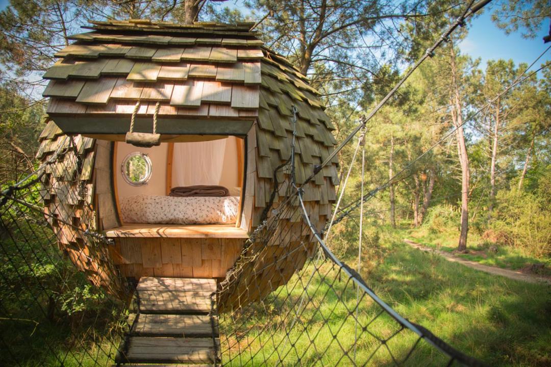 Cabane
