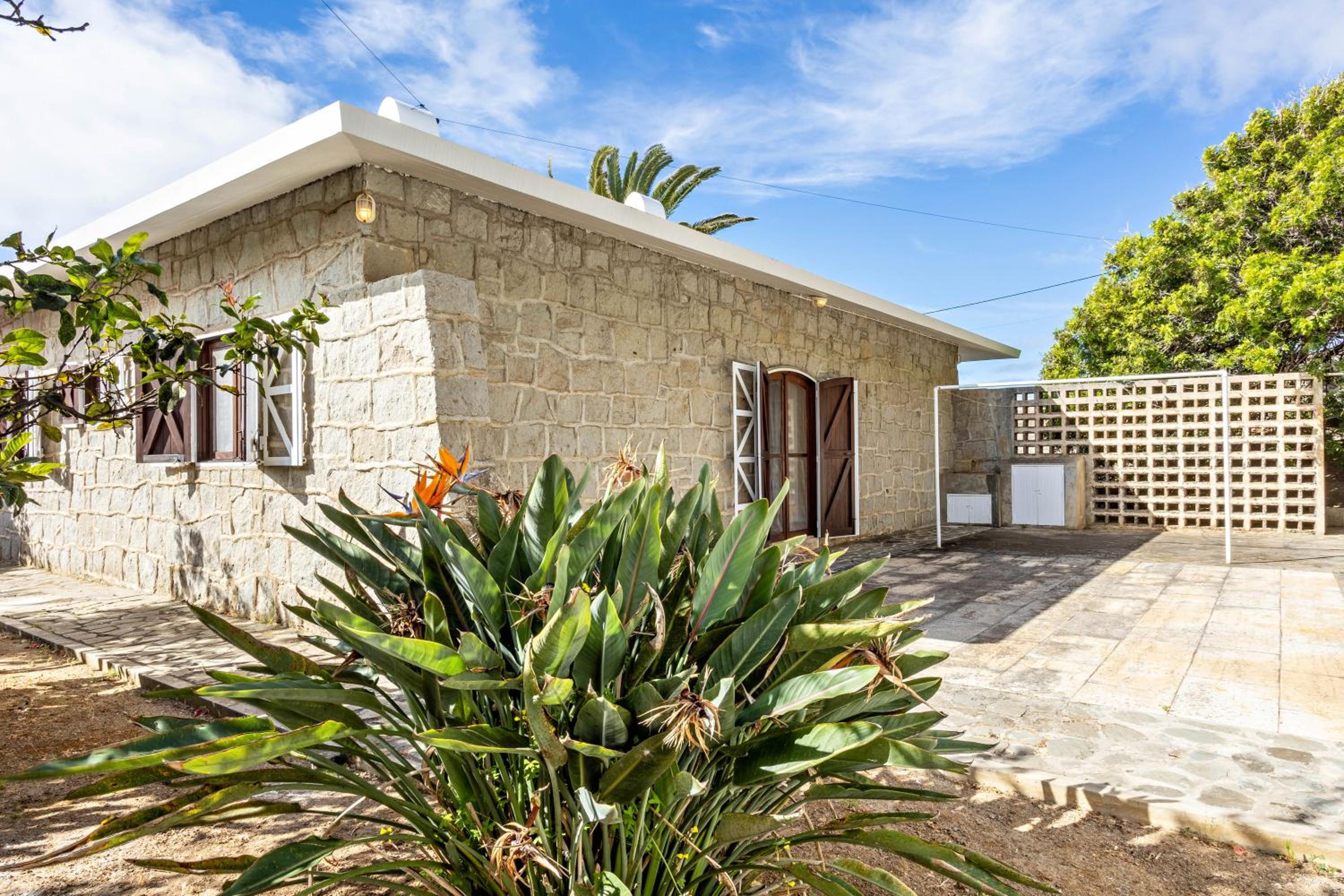 Three-Bedroom House photo 3